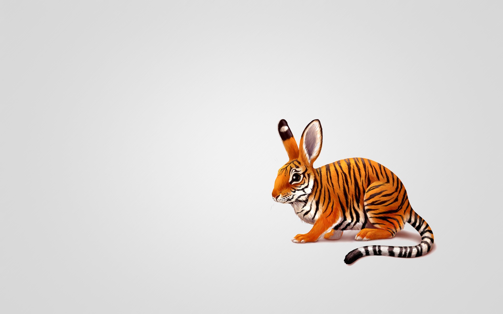 Tiger-striped rabbit with long ears HD Wallpaper