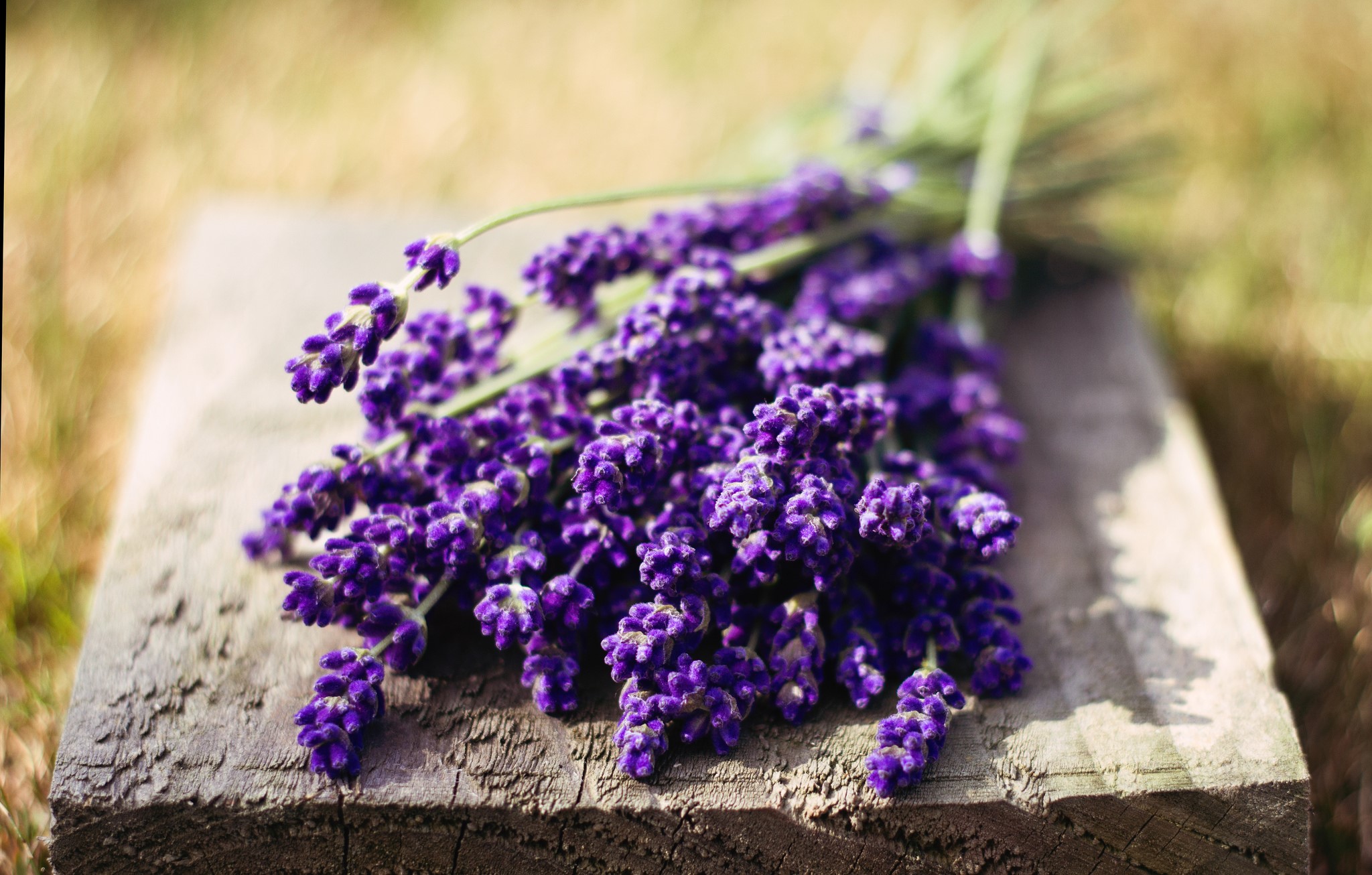 Bouquet of Lavender Flowers on Wood HD Wallpaper