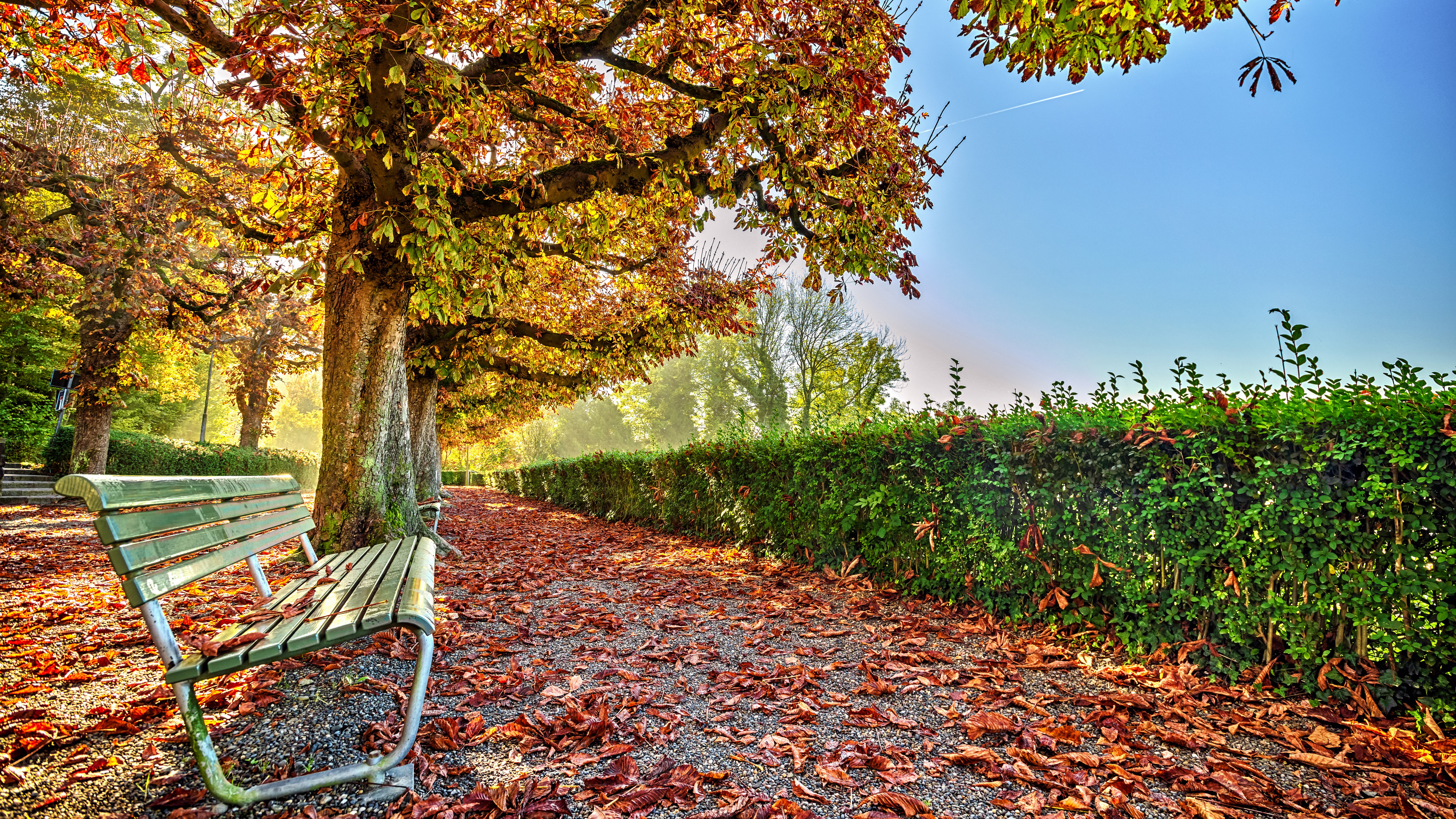 Park bench under autumn trees with fallen leaves HD Wallpaper