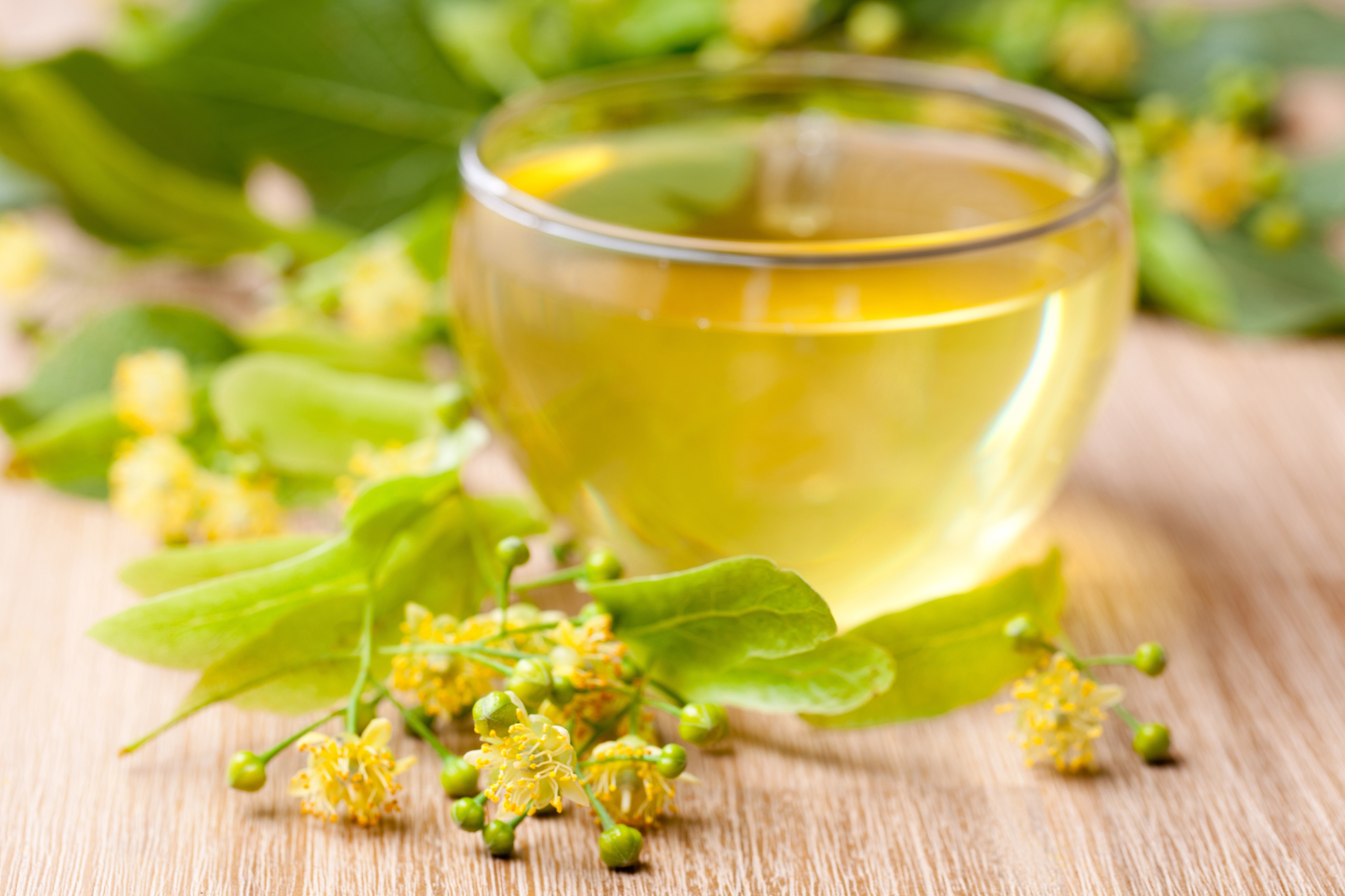 Linden tea in a glass cup with flowers HD Wallpaper
