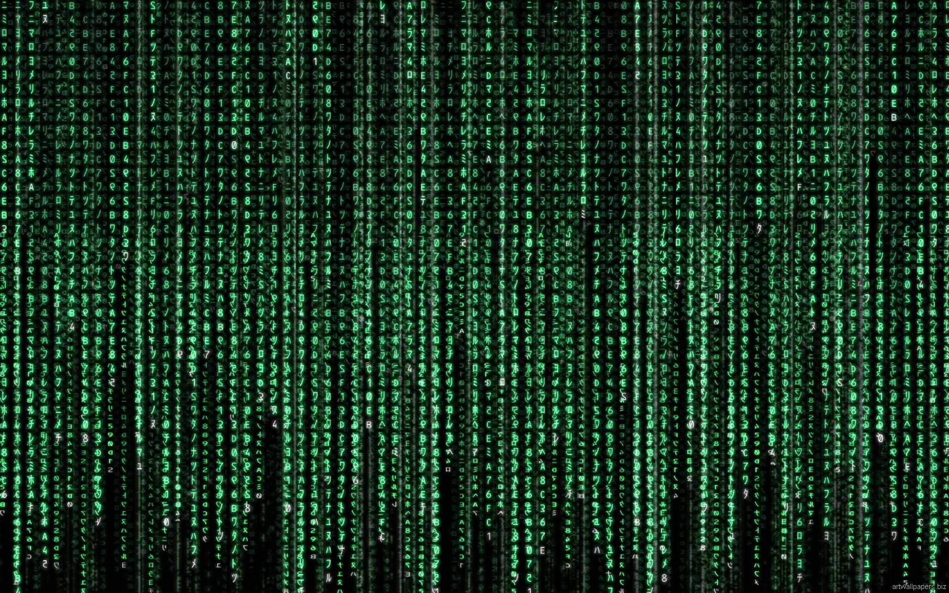 Matrix digital rain HD Wallpaper