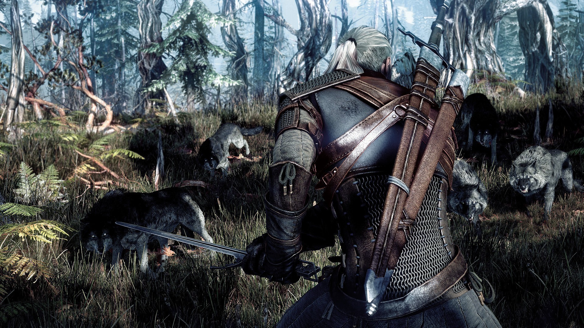 Geralt of Rivia from The Witcher 3: Wild Hunt fighting wolves HD Wallpaper