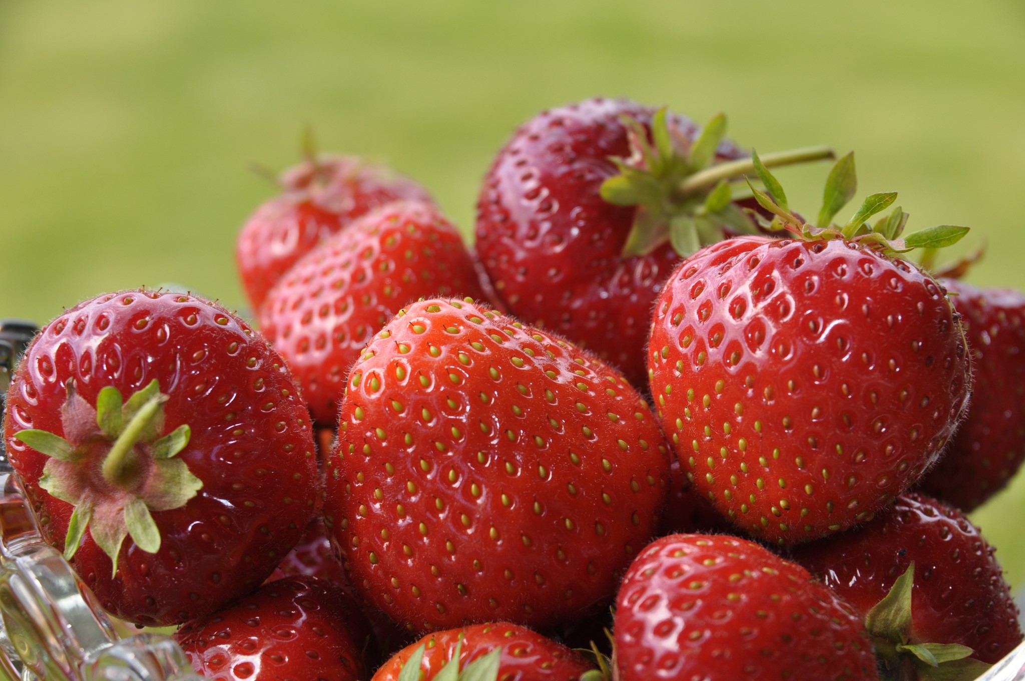 Bowl of fresh strawberries HD Wallpaper