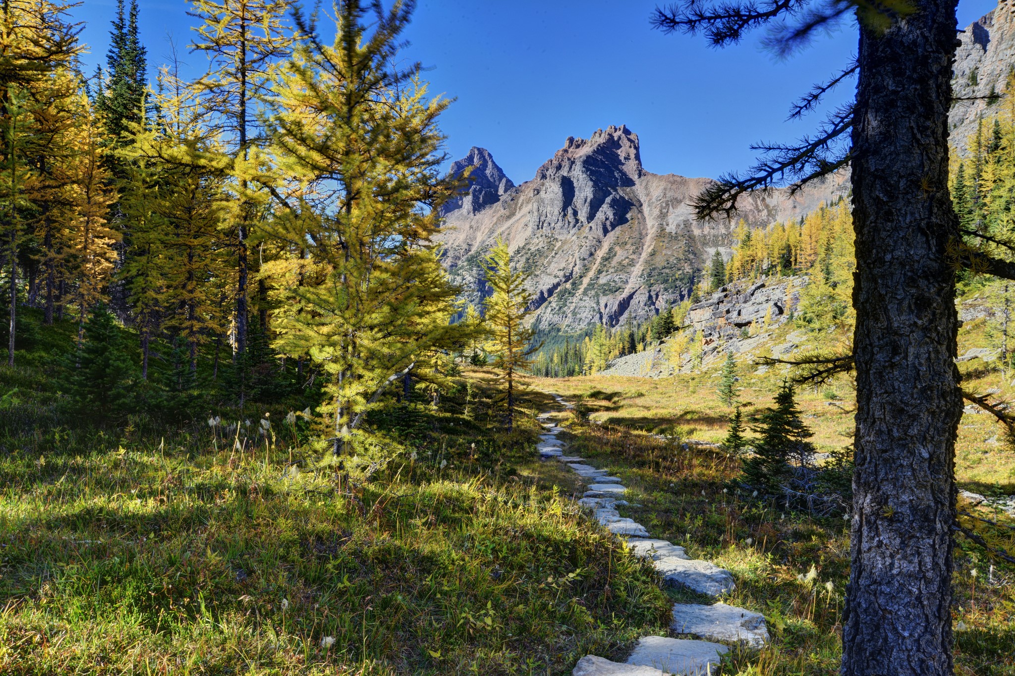 Stone path through autumn trees to rocky mountains HD Wallpaper