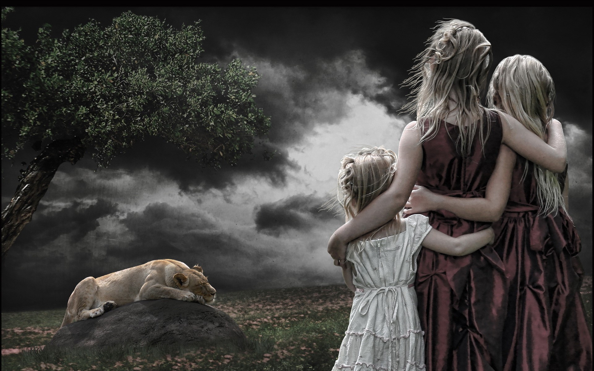 Three girls in dresses and a lioness on a rock HD Wallpaper