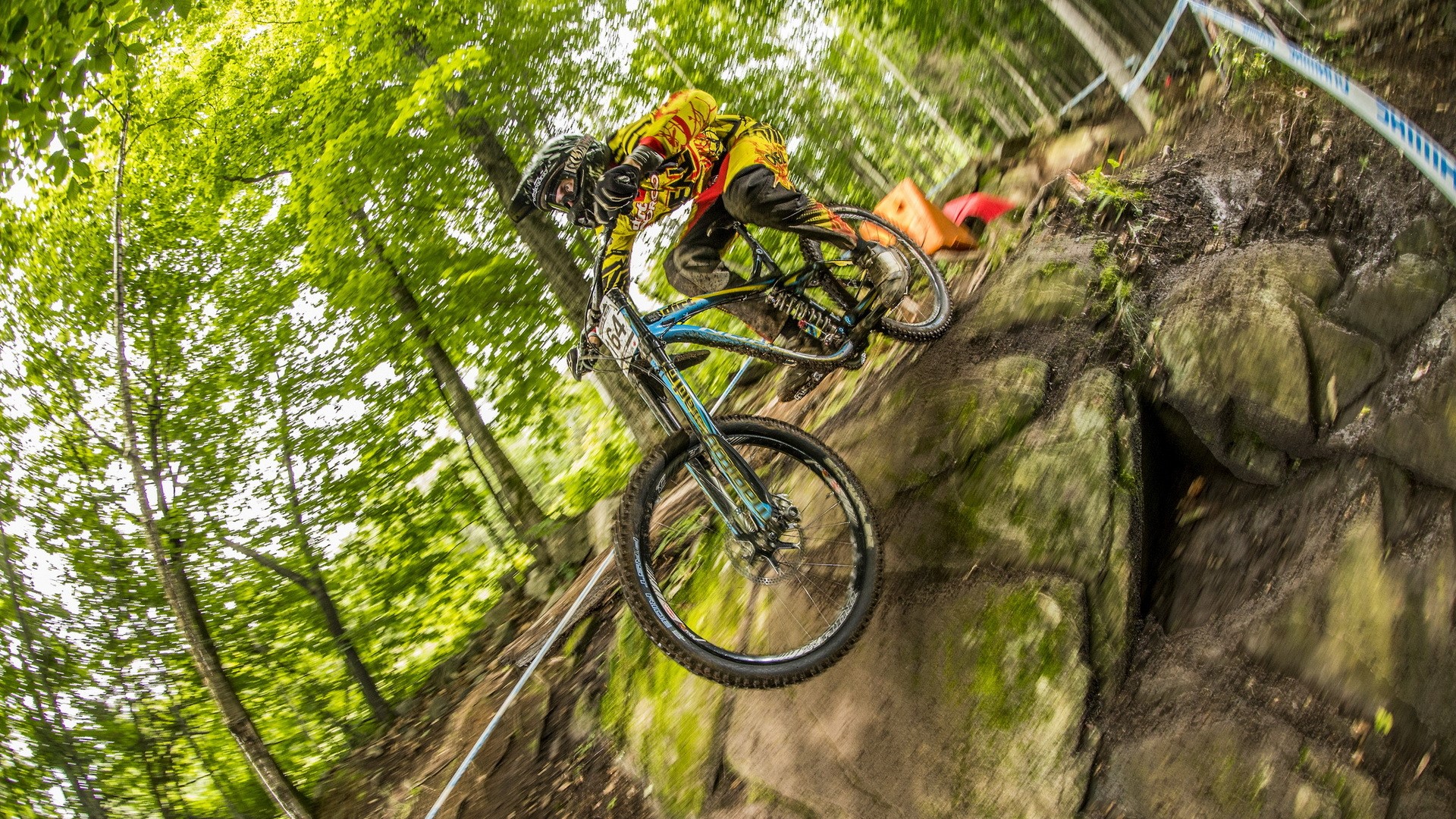 Man riding a bicycle downhill on a rocky forest path HD Wallpaper