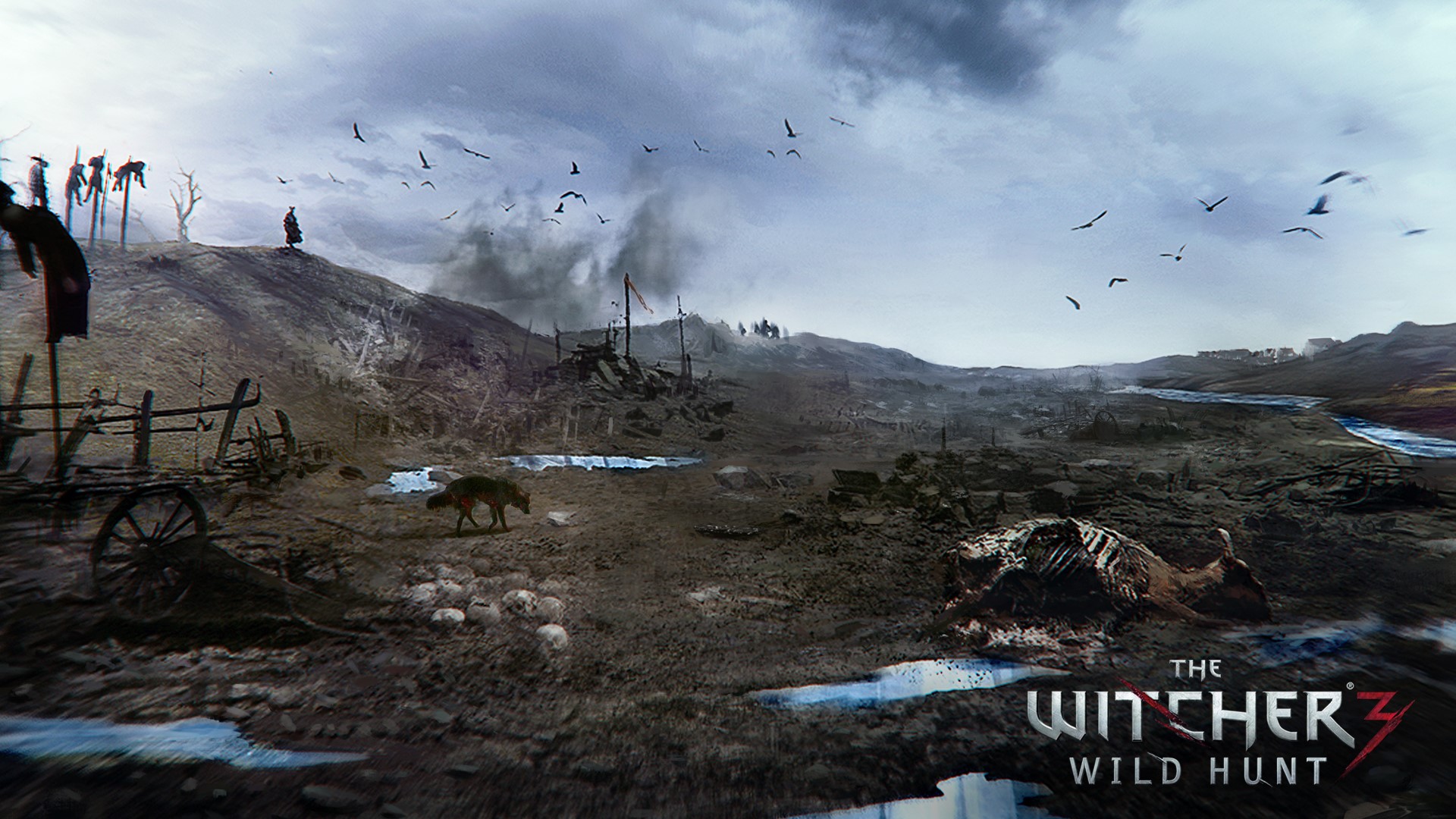 The Witcher 3: Wild Hunt desolate landscape HD Wallpaper
