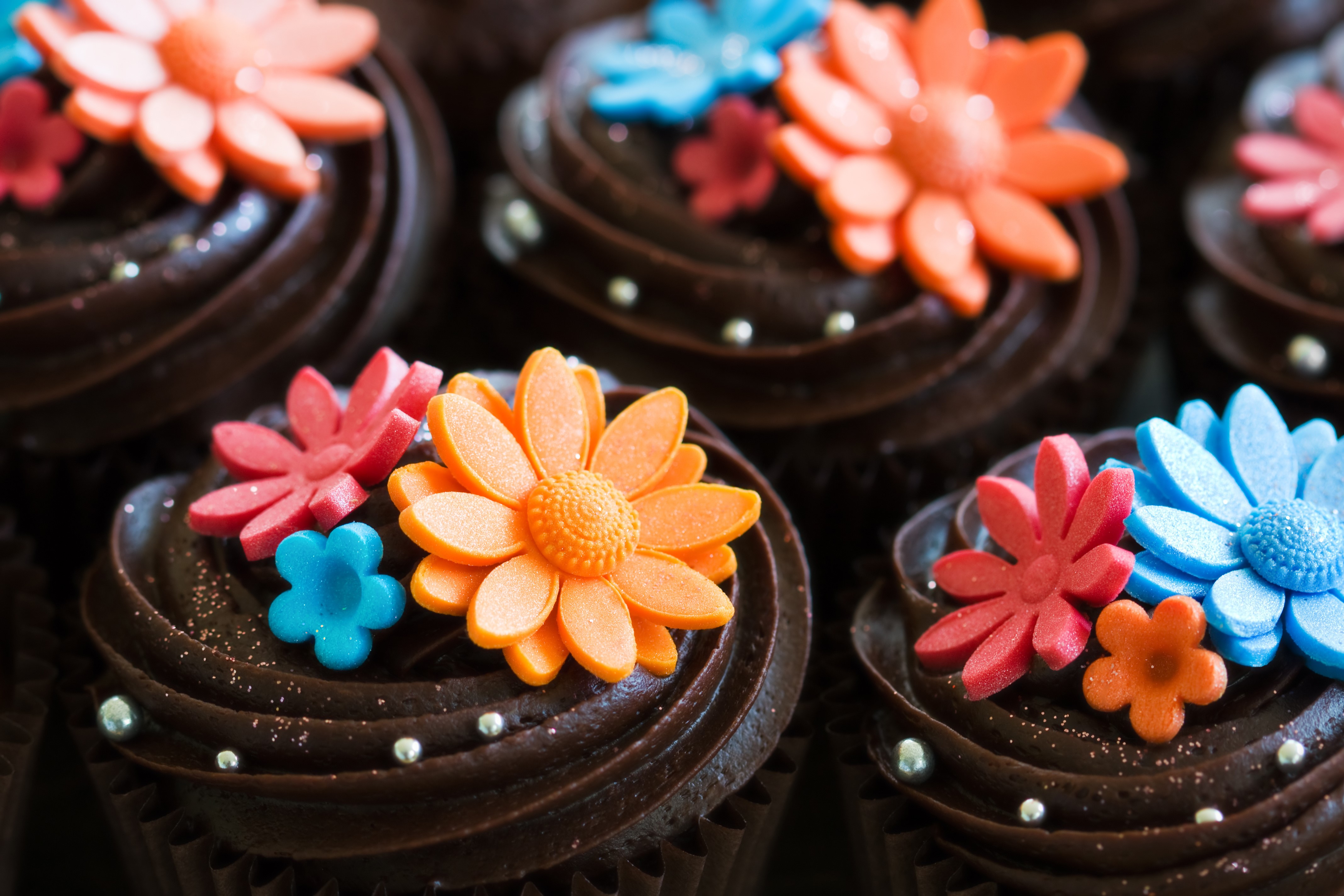 Chocolate cupcakes with colorful flower decorations HD Wallpaper