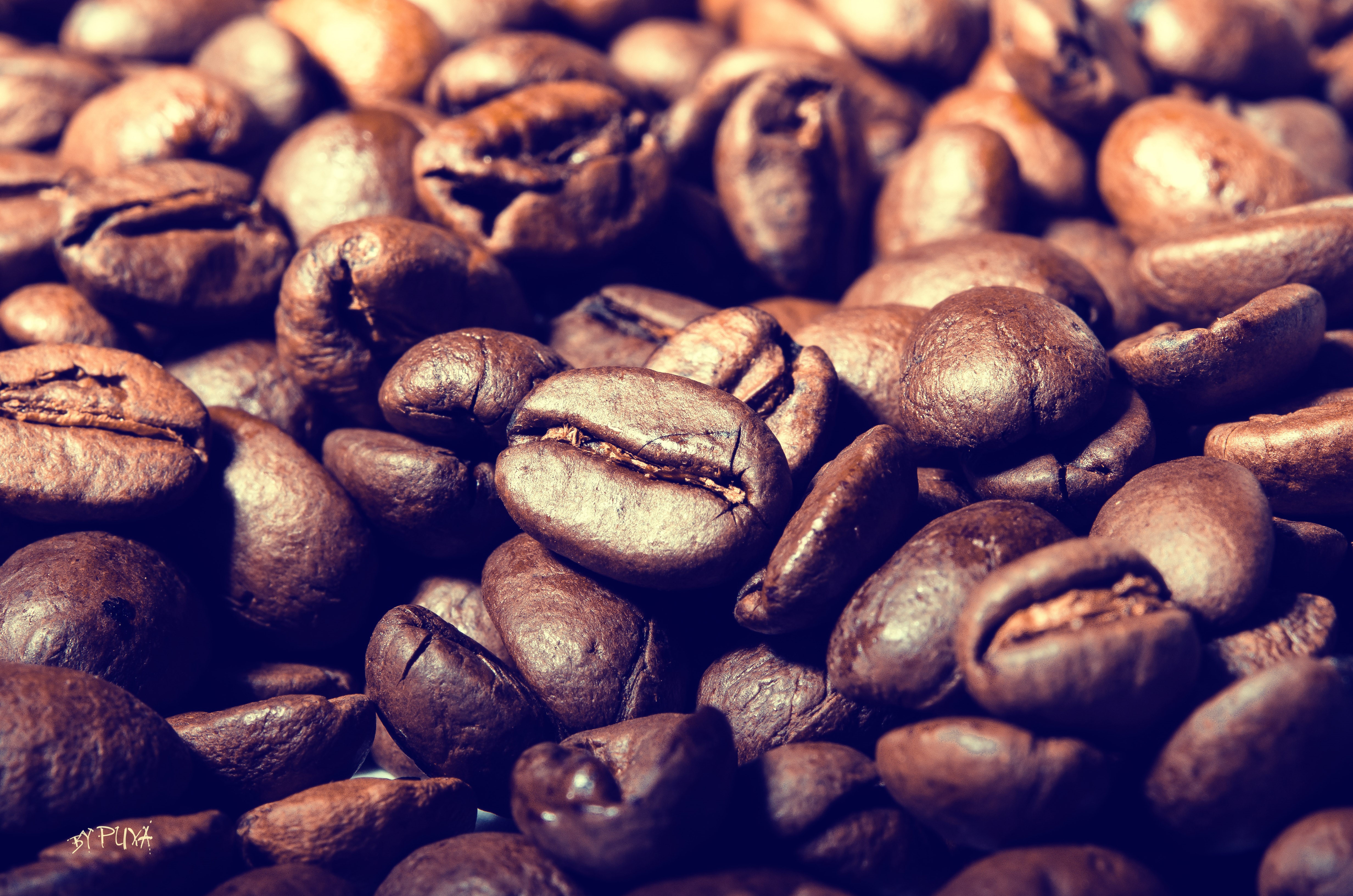 4K Coffee Beans Closeup HD Wallpaper