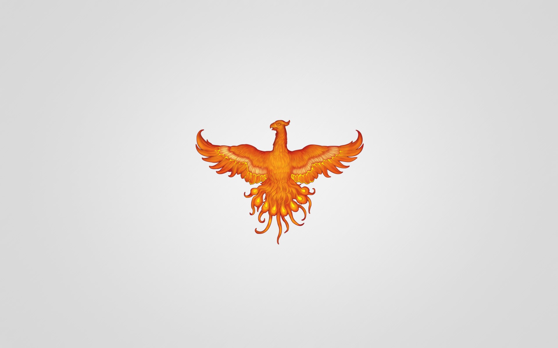 Phoenix bird illustration HD Wallpaper