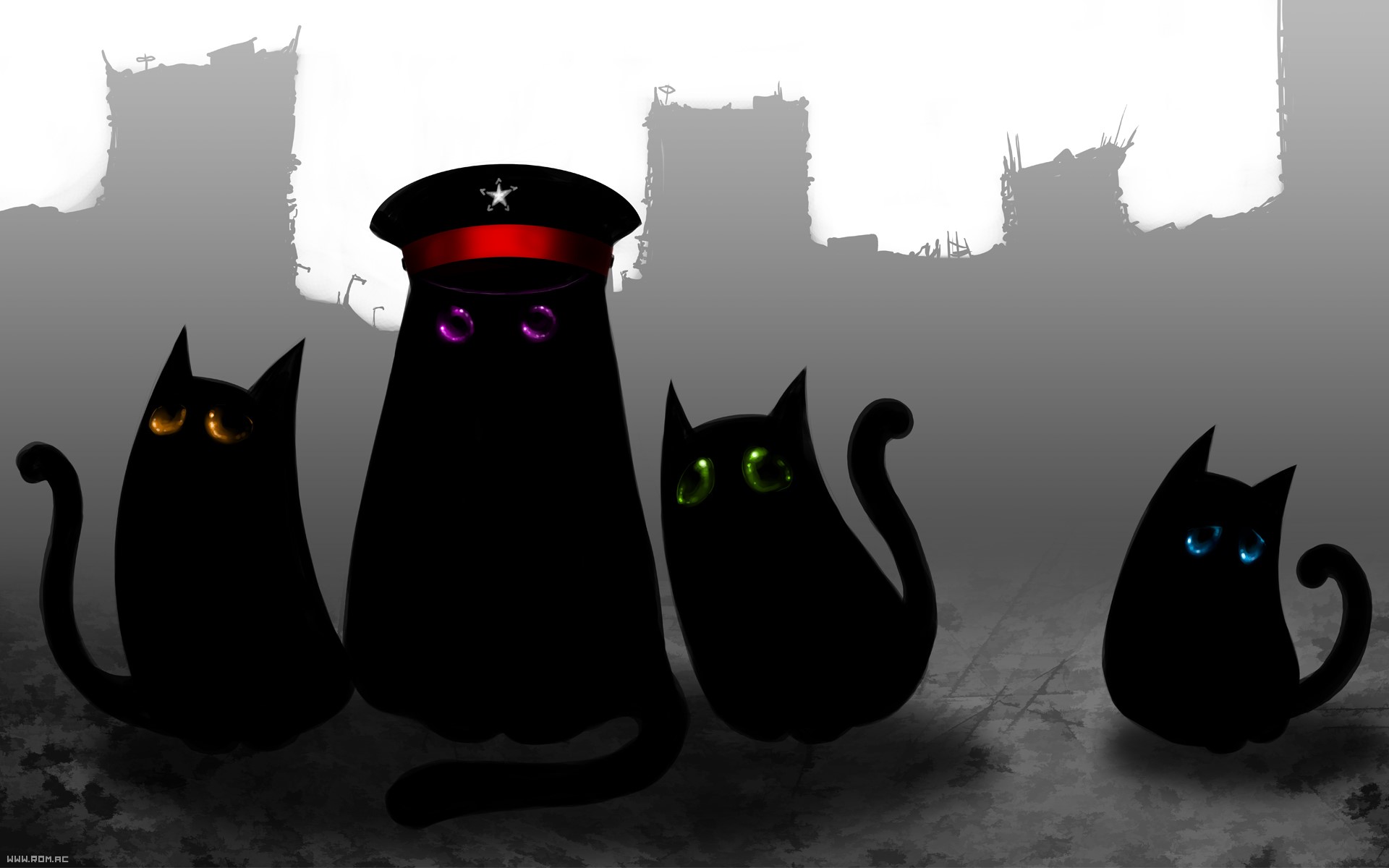 Romantically Apocalyptic cats with a leader cat in a hat HD Wallpaper