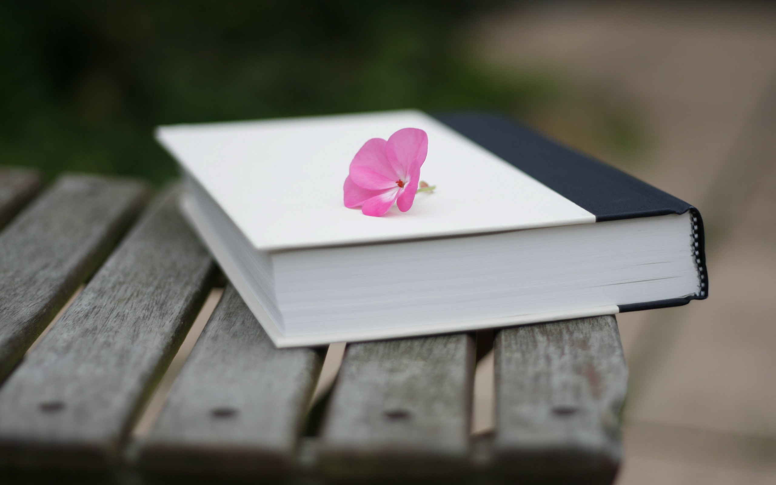 Book with pink flower on wooden bench HD Wallpaper
