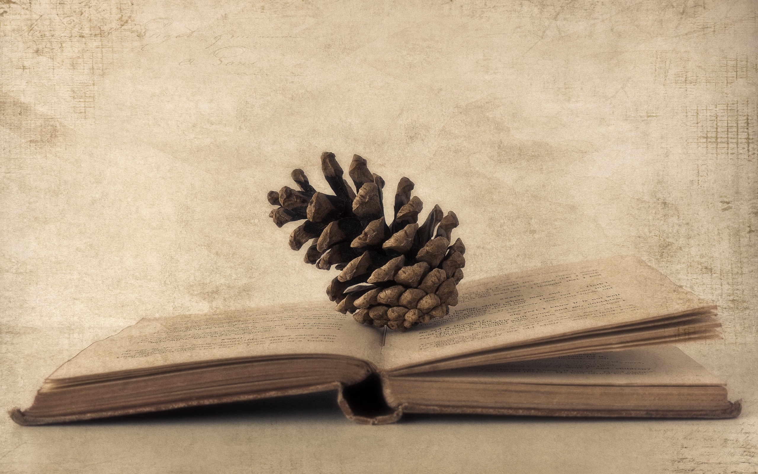 Pine cone on an open old book HD Wallpaper