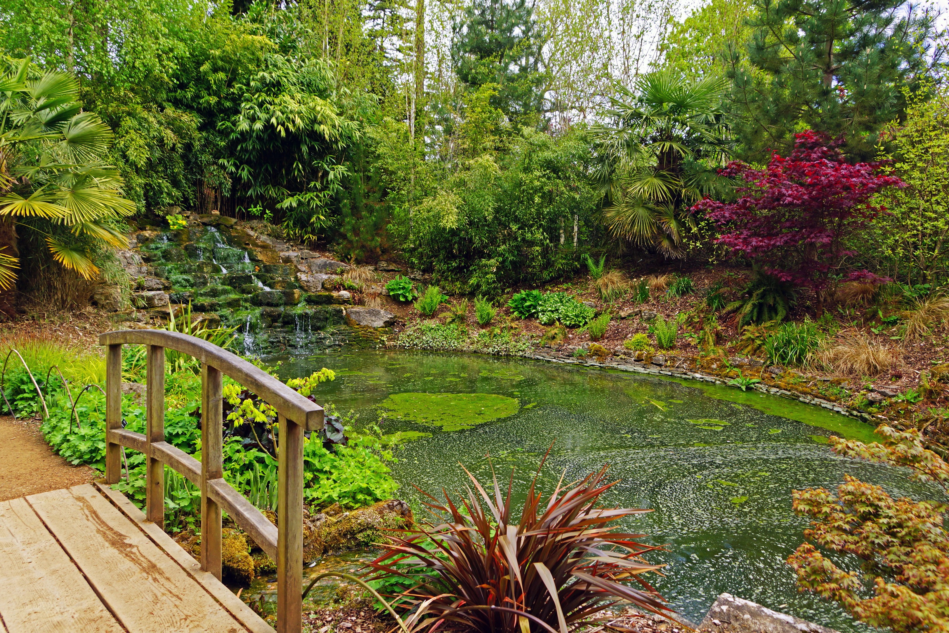 Garden pond with waterfall and wooden bridge at Blenheim Palace HD Wallpaper