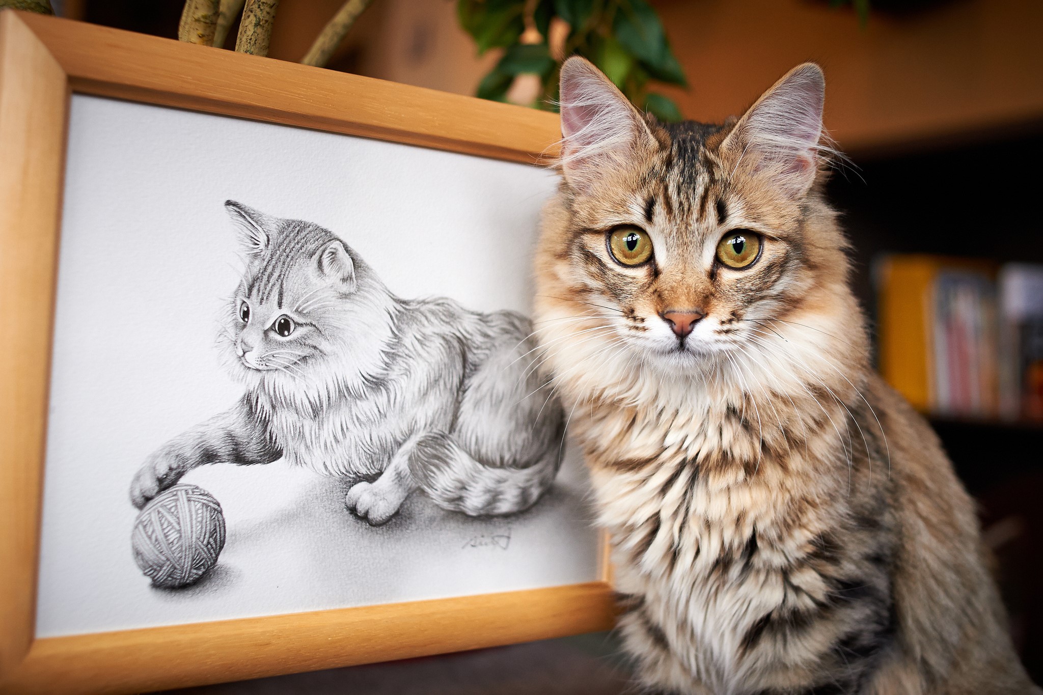 Cat next to a drawing of a cat playing with yarn HD Wallpaper