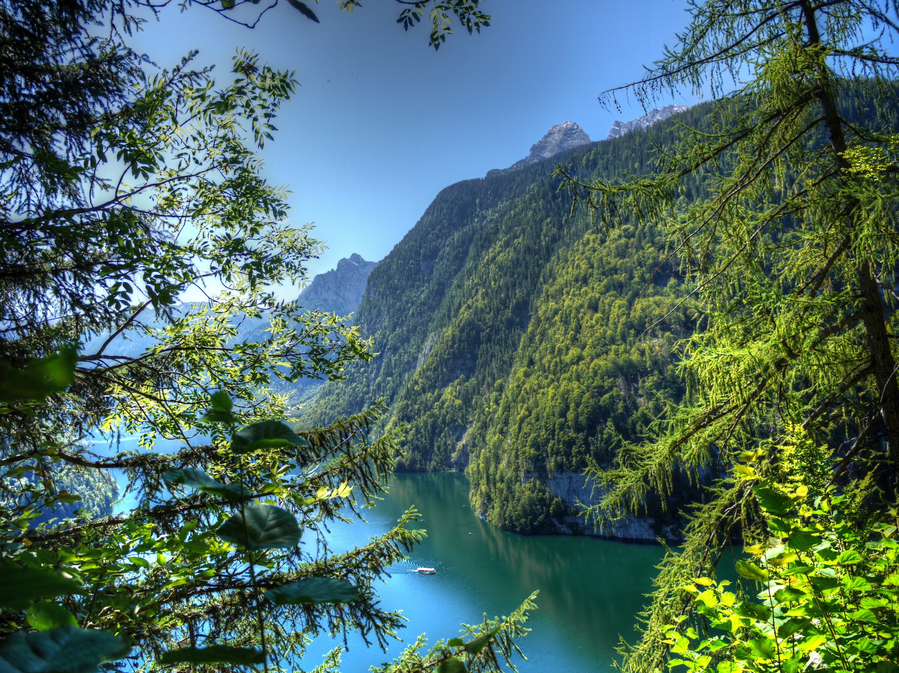 Lake surrounded by forested mountains in Bavaria, Germany HD Wallpaper