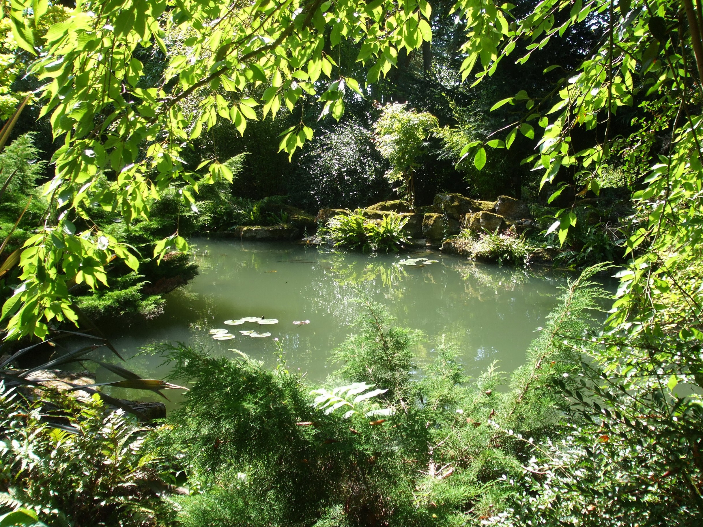 Pond in Blenheim Palace Gardens, England HD Wallpaper