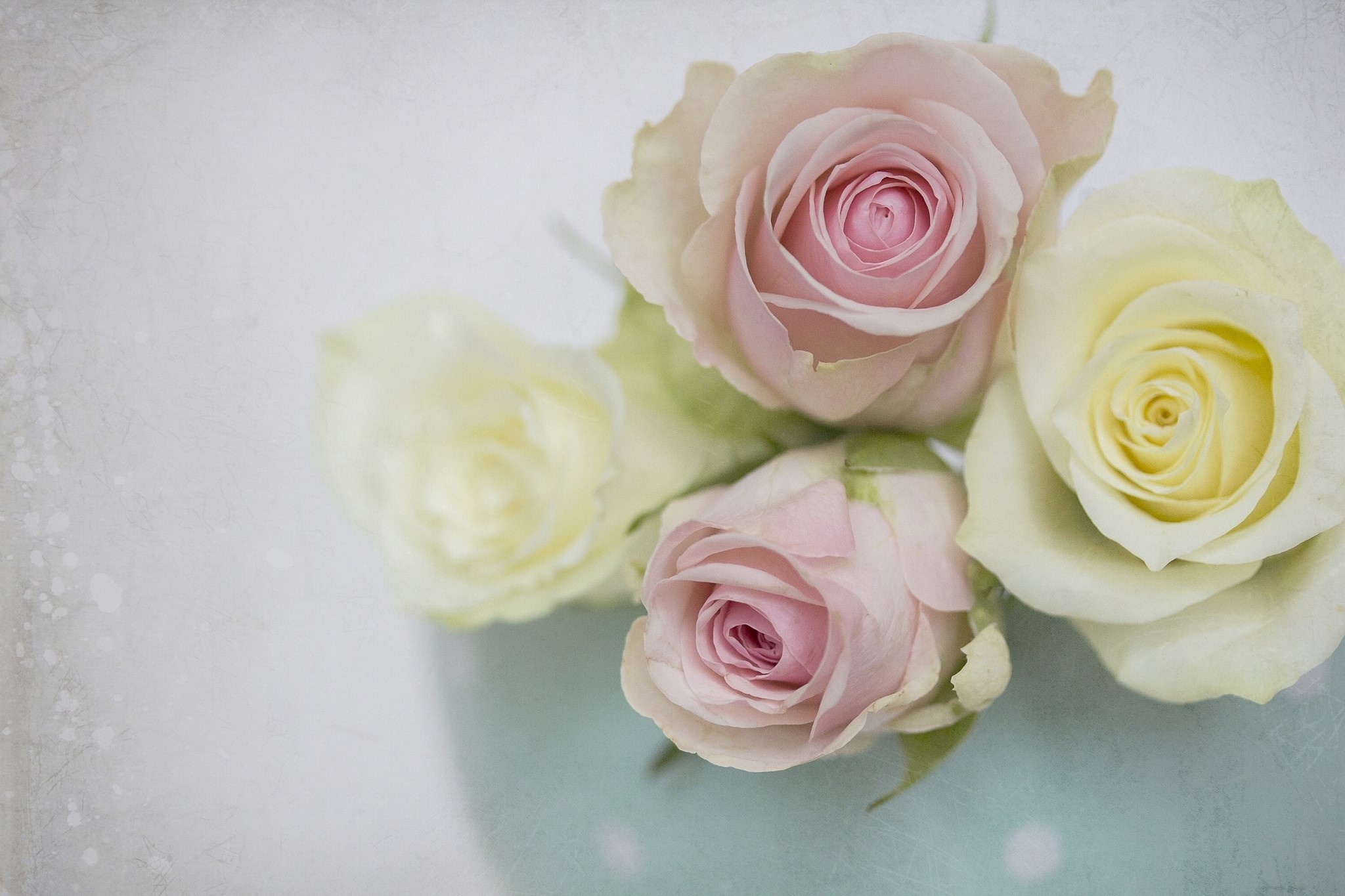 Four Roses in a Vase HD Wallpaper