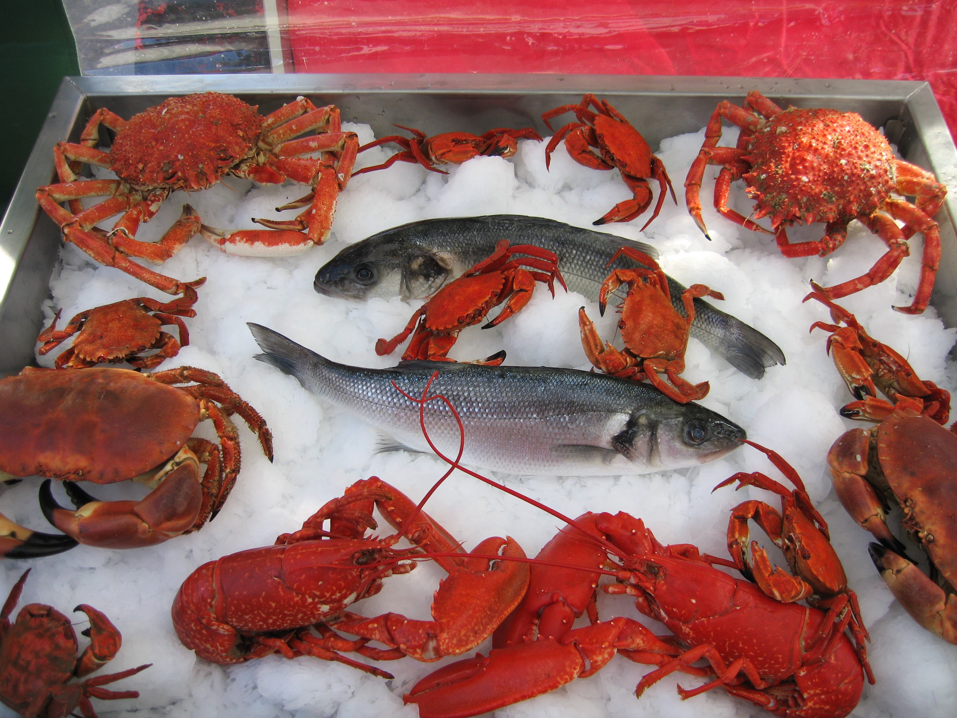 Fresh seafood display with crabs, lobsters, and fish on ice HD Wallpaper
