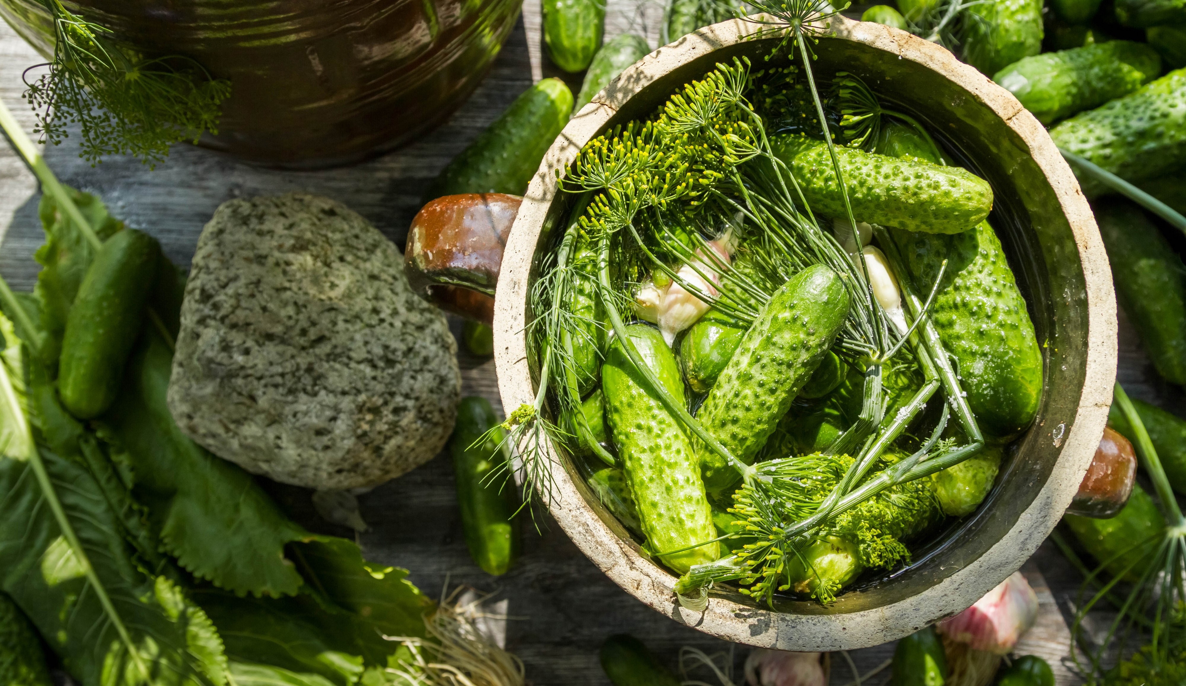 Cucumbers and Dill in a Bowl HD Wallpaper
