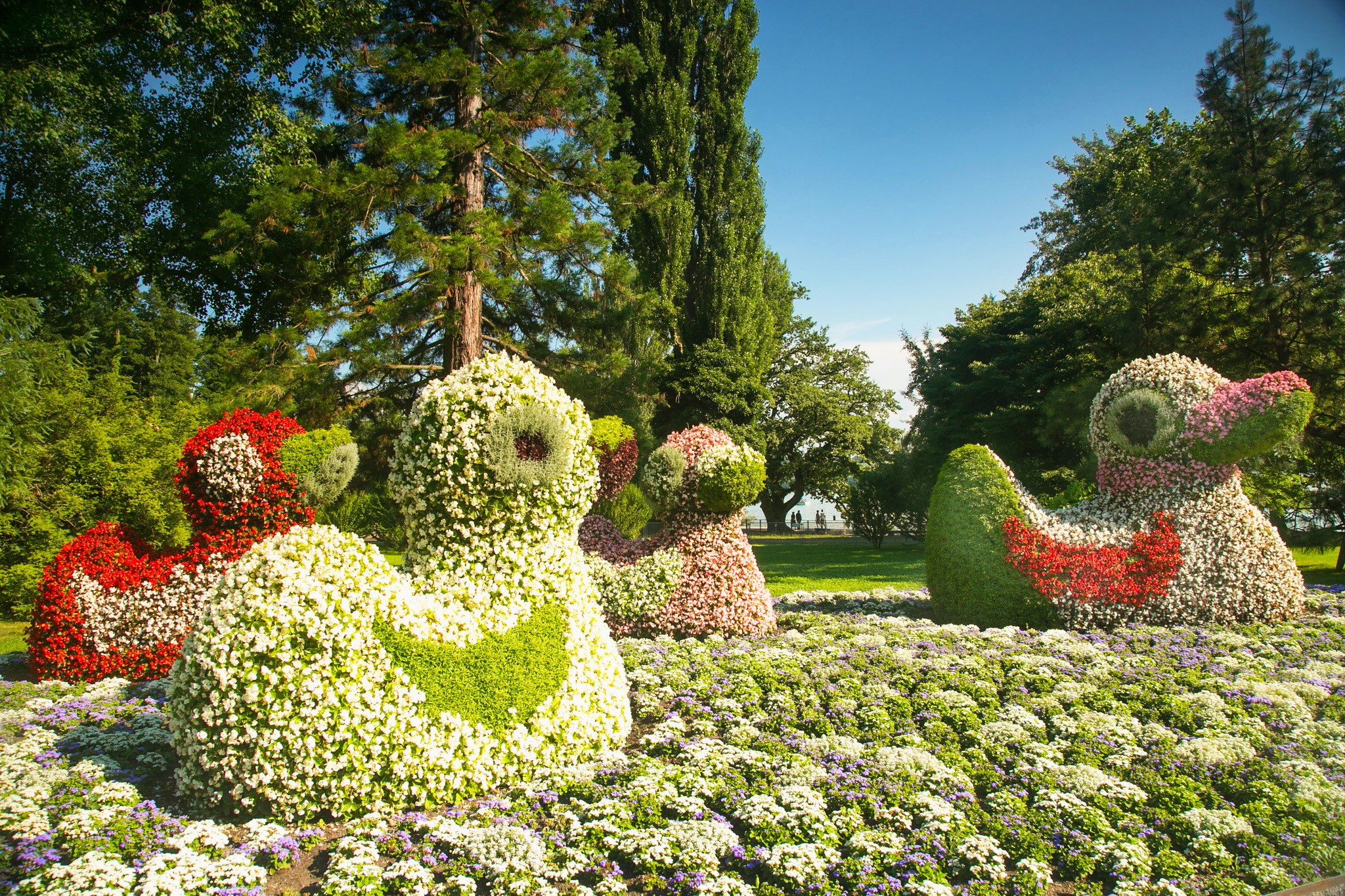 Topiary ducks in a park in Konstanz, Germany HD Wallpaper