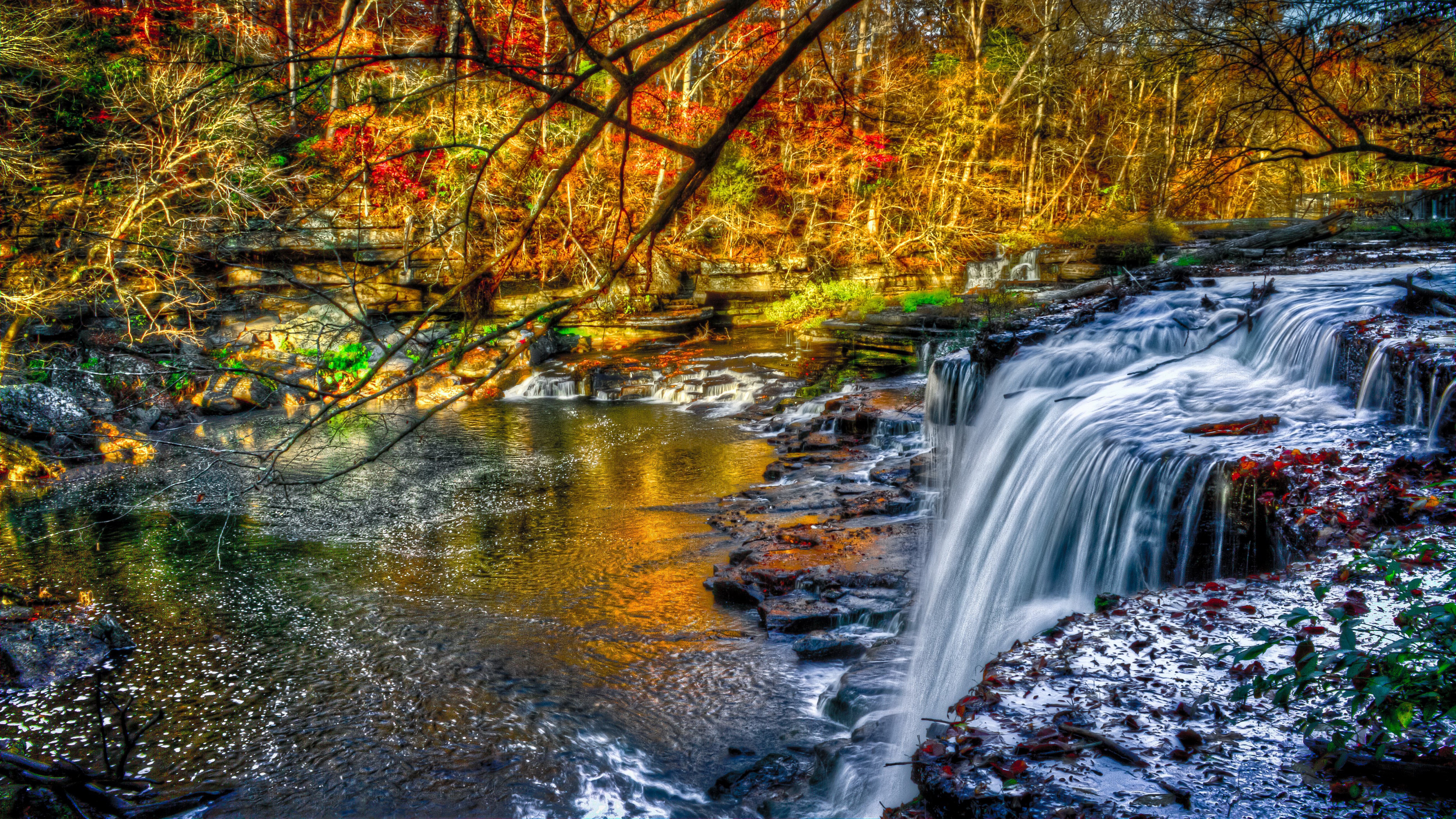 Waterfall in a forest during autumn HD Wallpaper