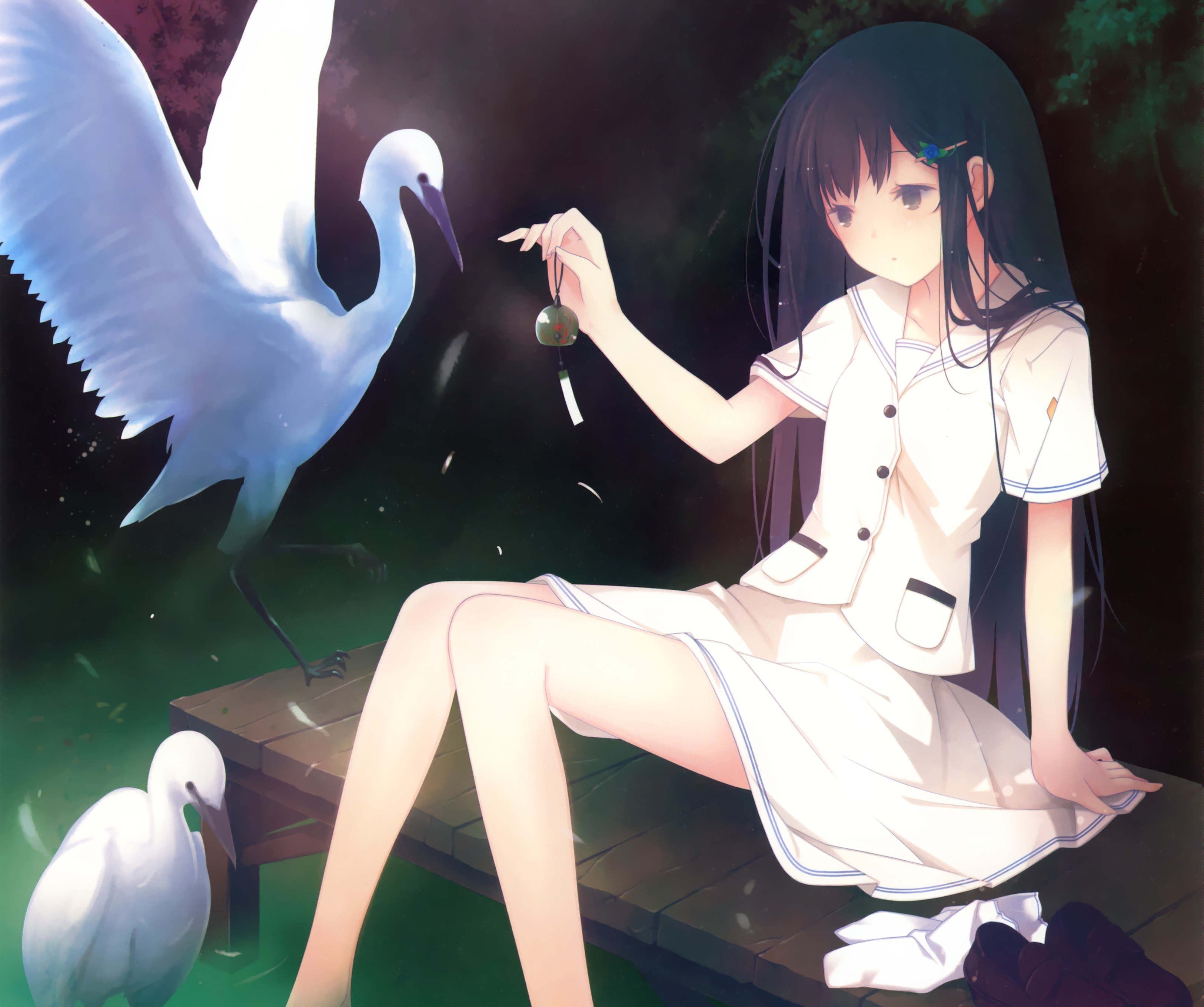 Girl with her pet birds by the water HD Wallpaper
