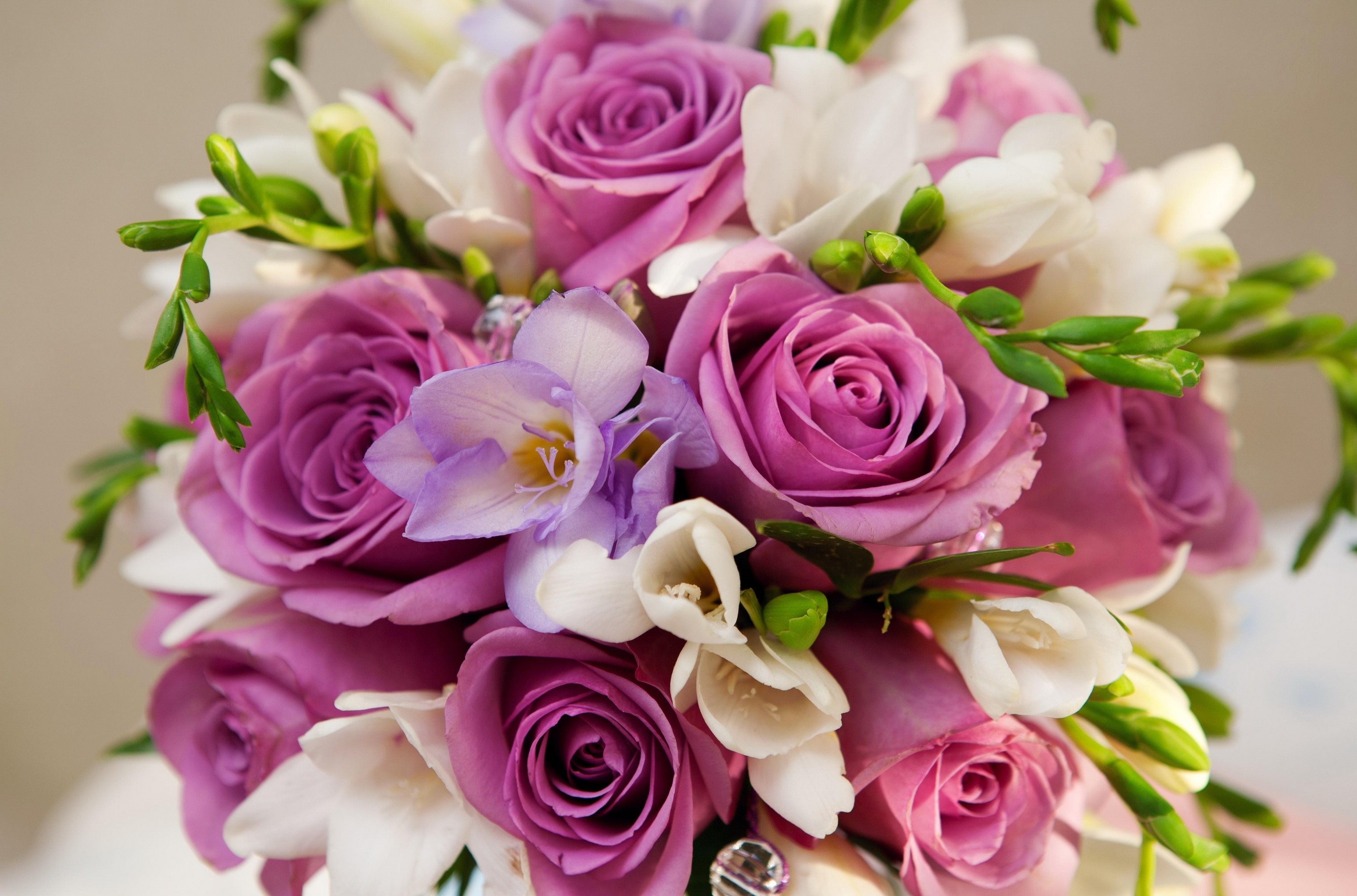 Purple roses and white freesia bouquet HD Wallpaper