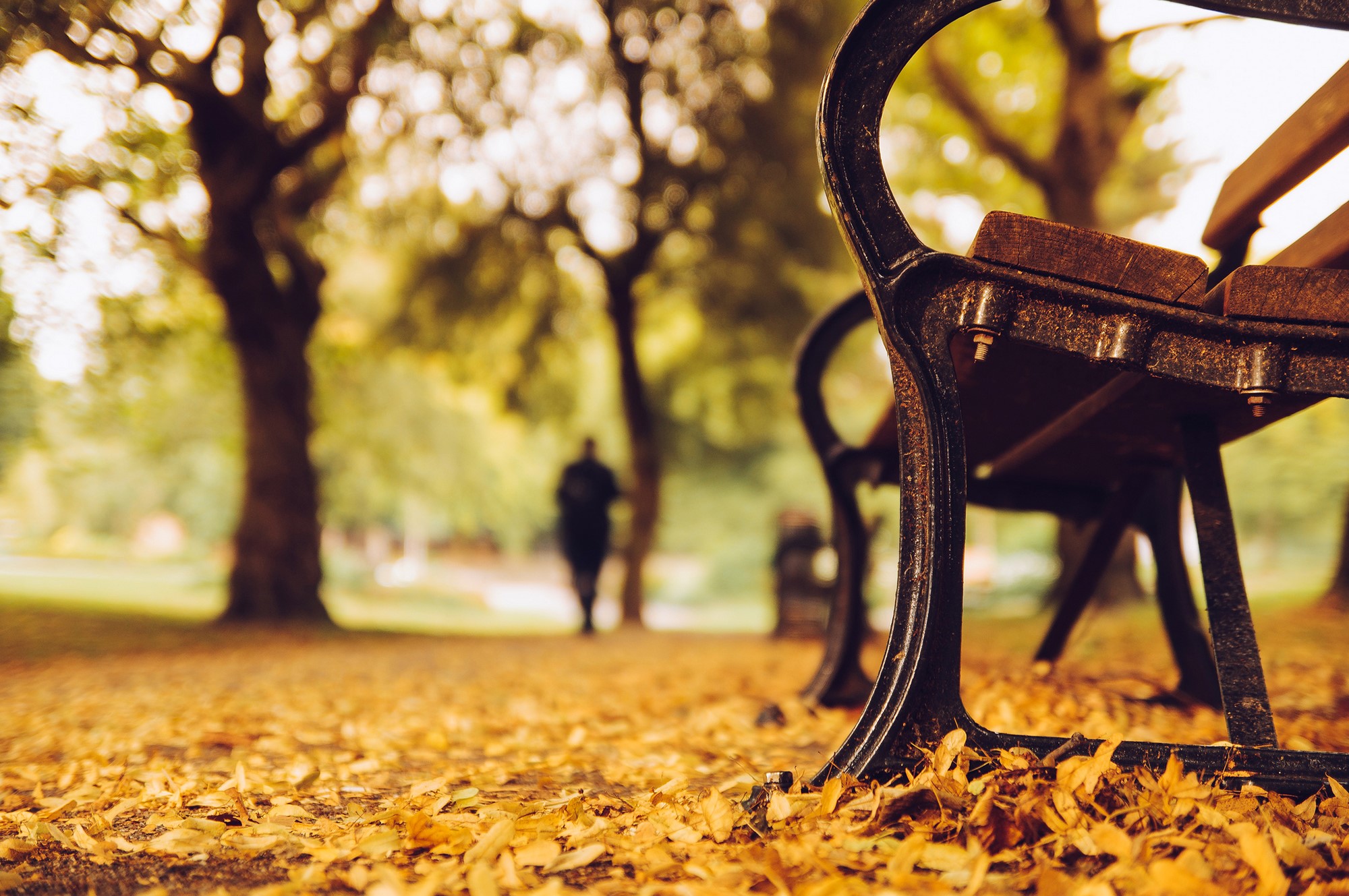 Autumn park bench with fallen leaves and a person walking HD Wallpaper