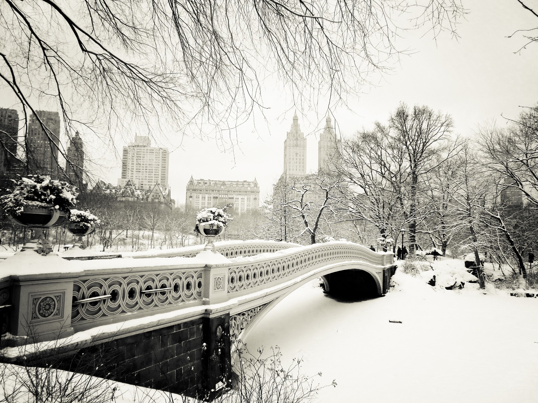 Bow Bridge in Central Park, New York City during winter HD Wallpaper