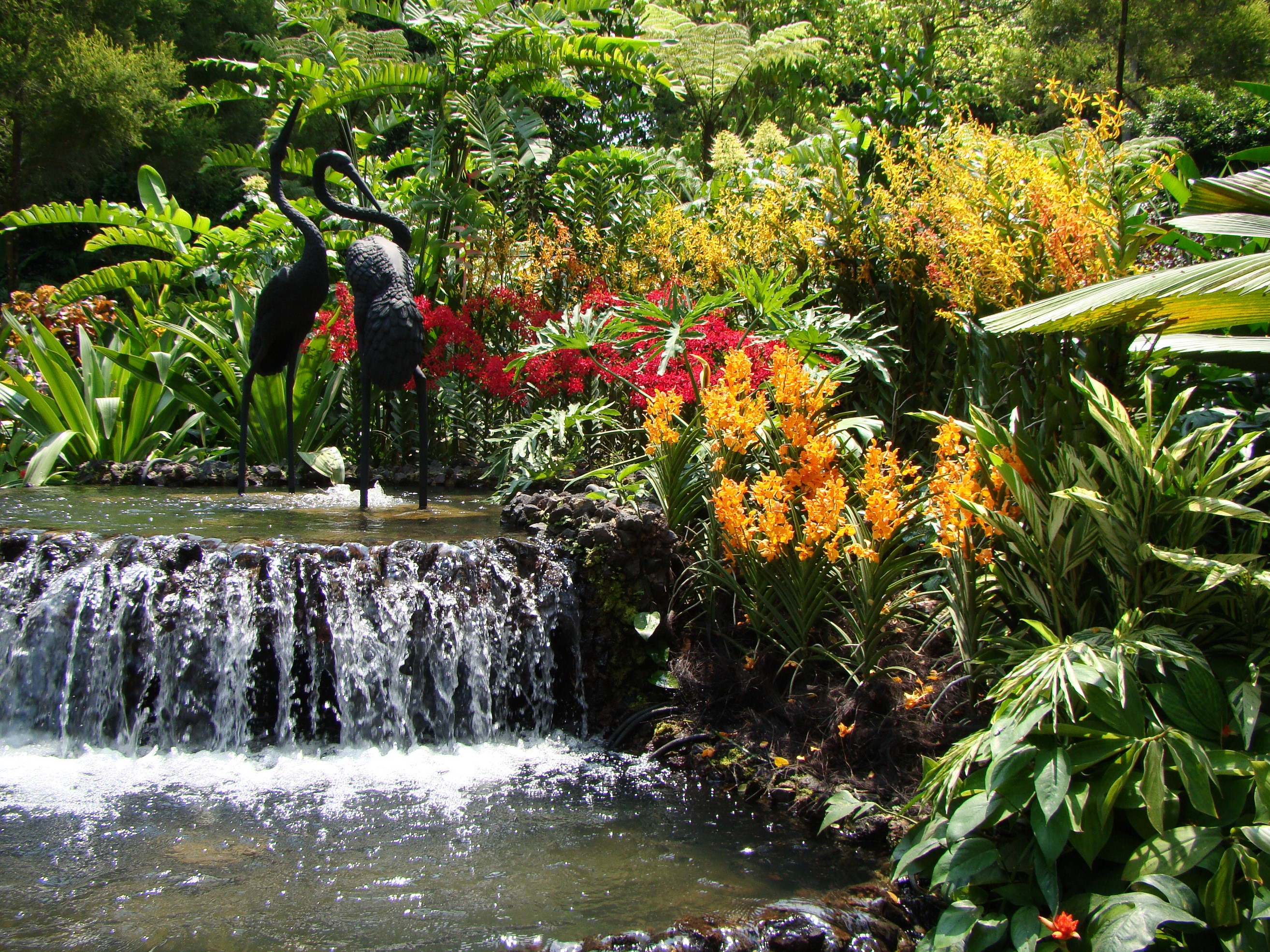 Waterfall with Crane Statues and Orchids in Singapore HD Wallpaper
