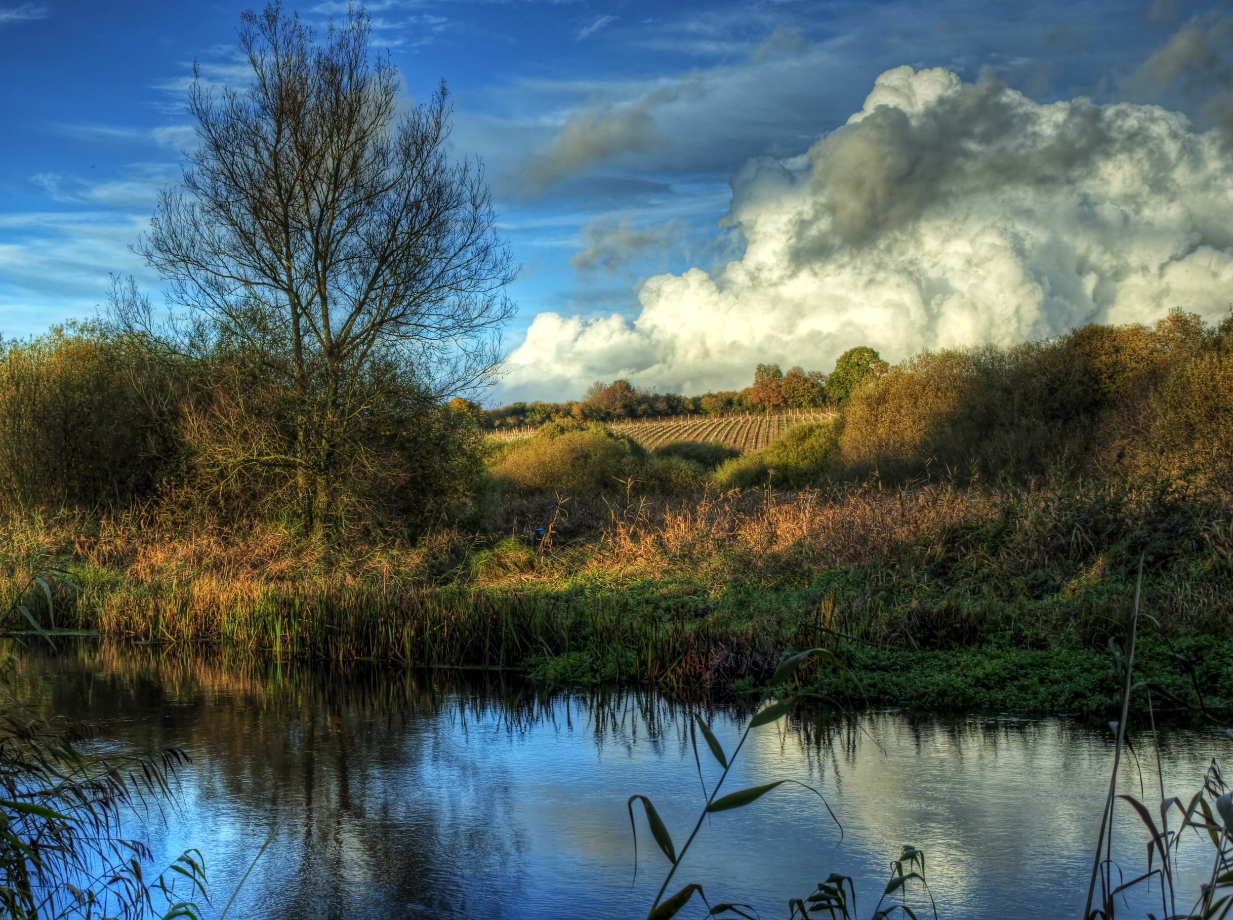 River Itchen Avington with dramatic clouds HD Wallpaper