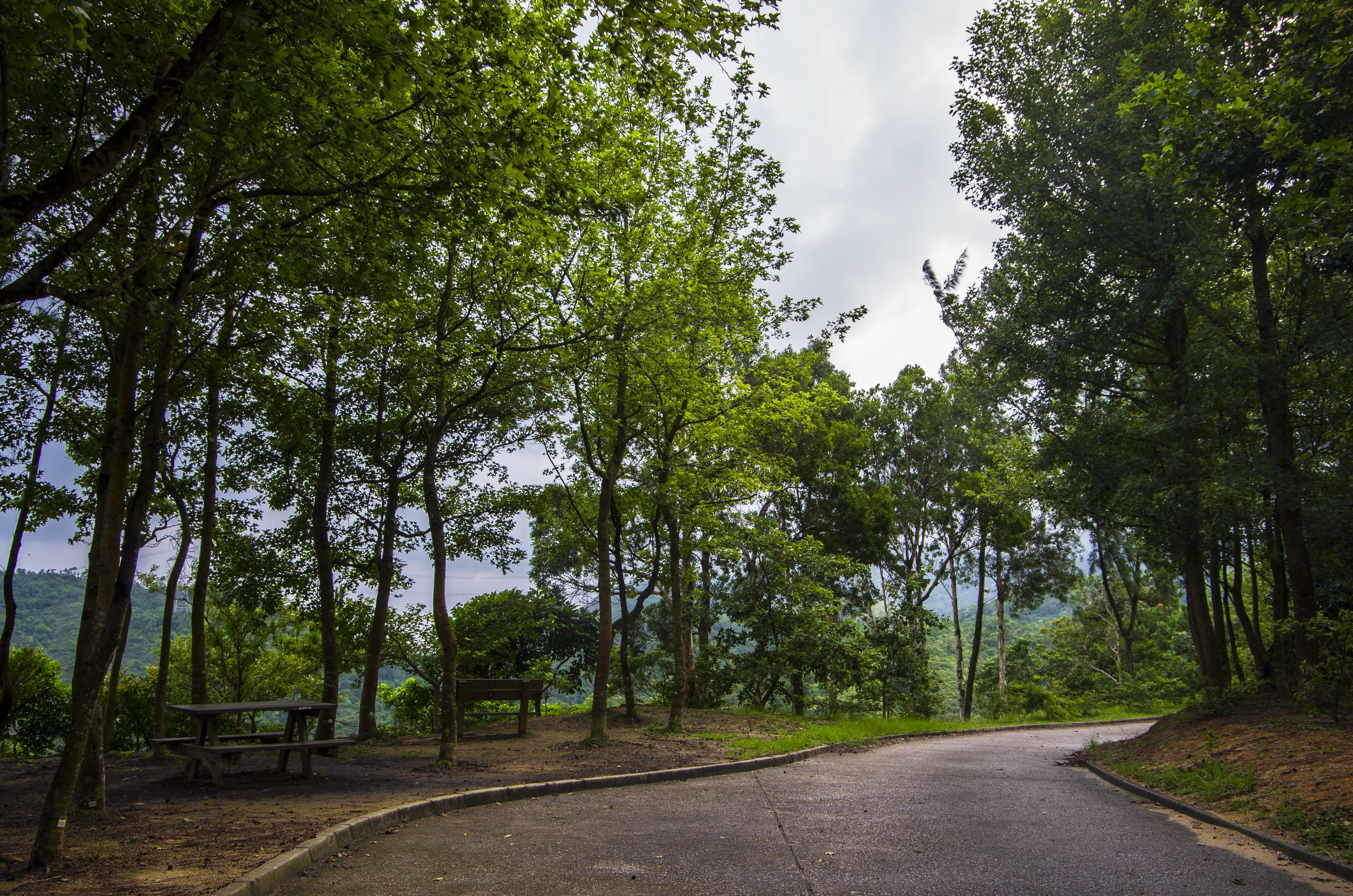 Park with trees and a road in Hong Kong HD Wallpaper