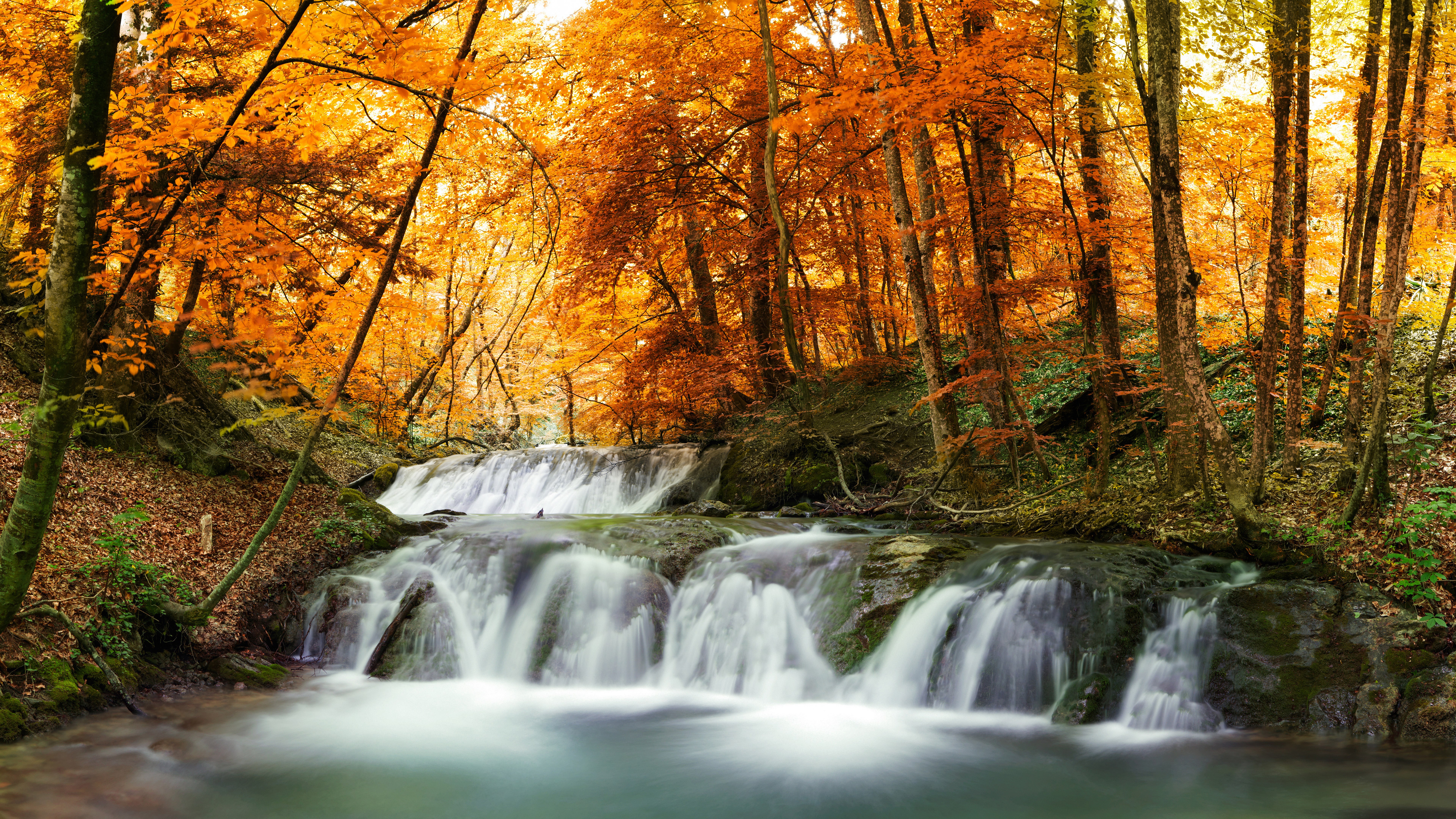 Waterfall in an autumn forest with orange trees HD Wallpaper