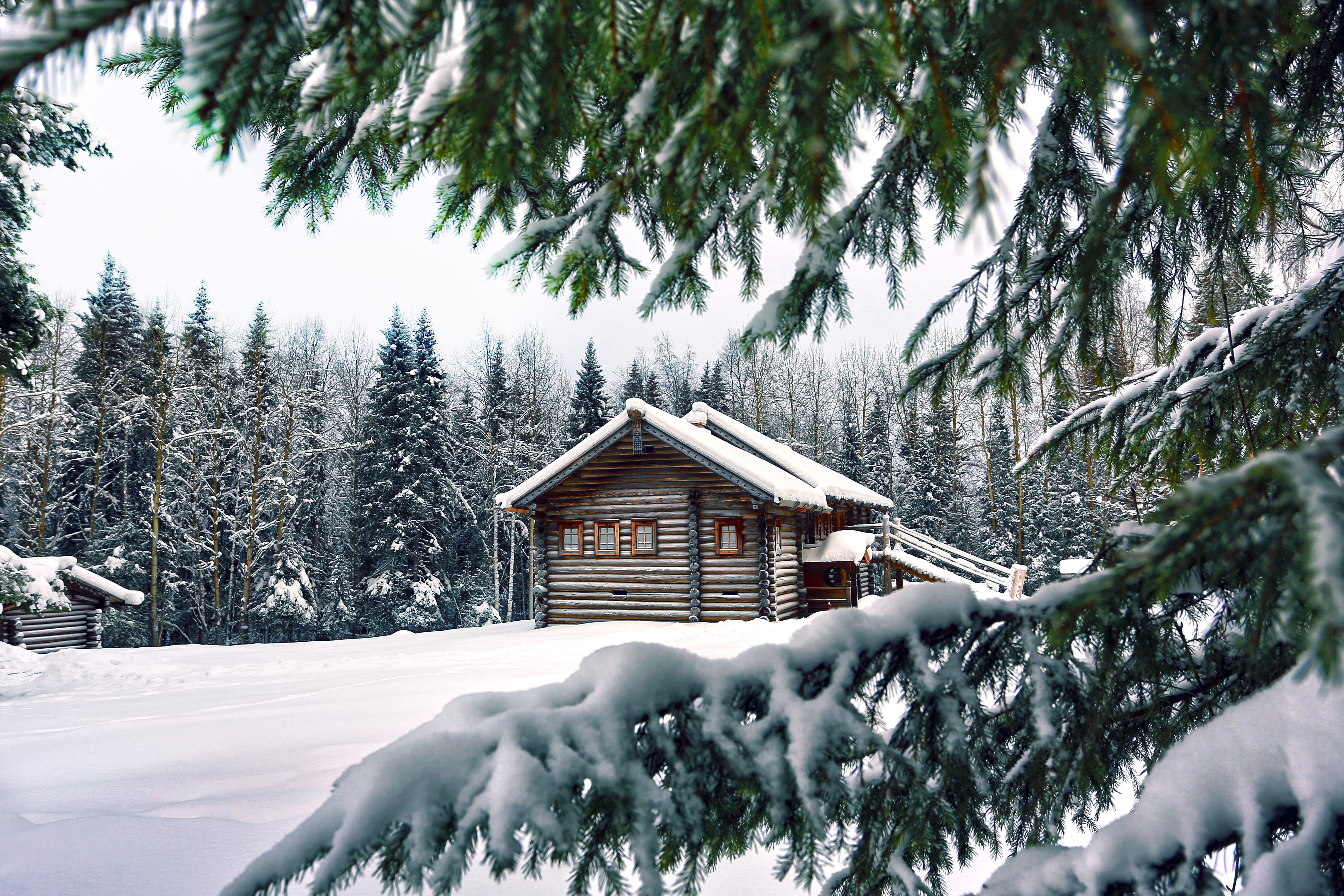 Wooden house in a snowy forest with spruce branches HD Wallpaper