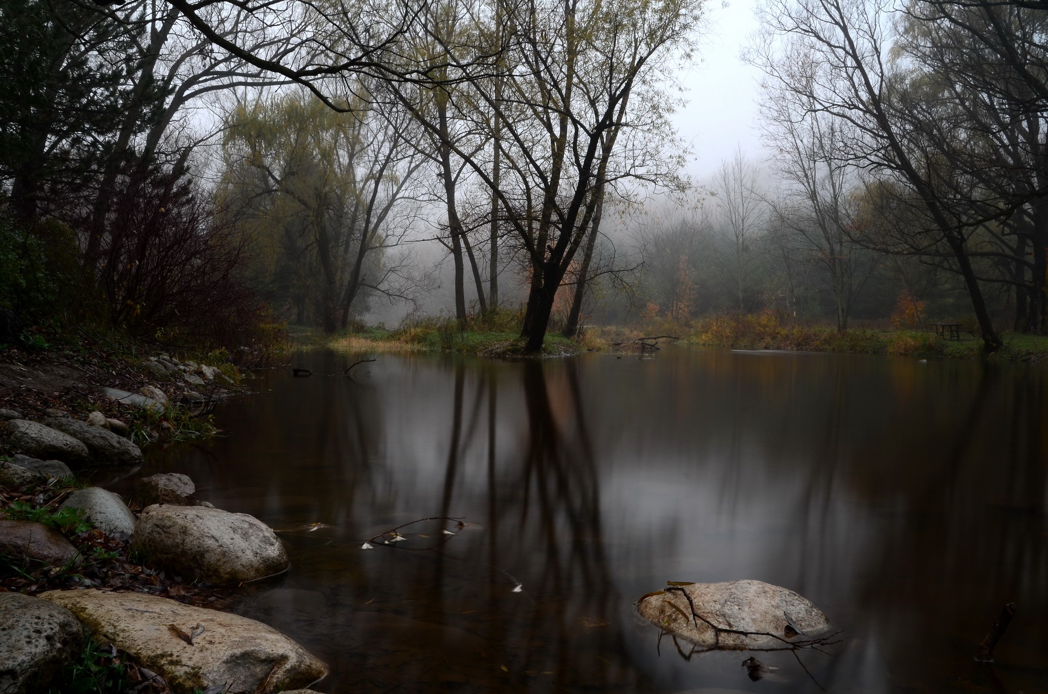 Misty lake with trees and rocks HD Wallpaper