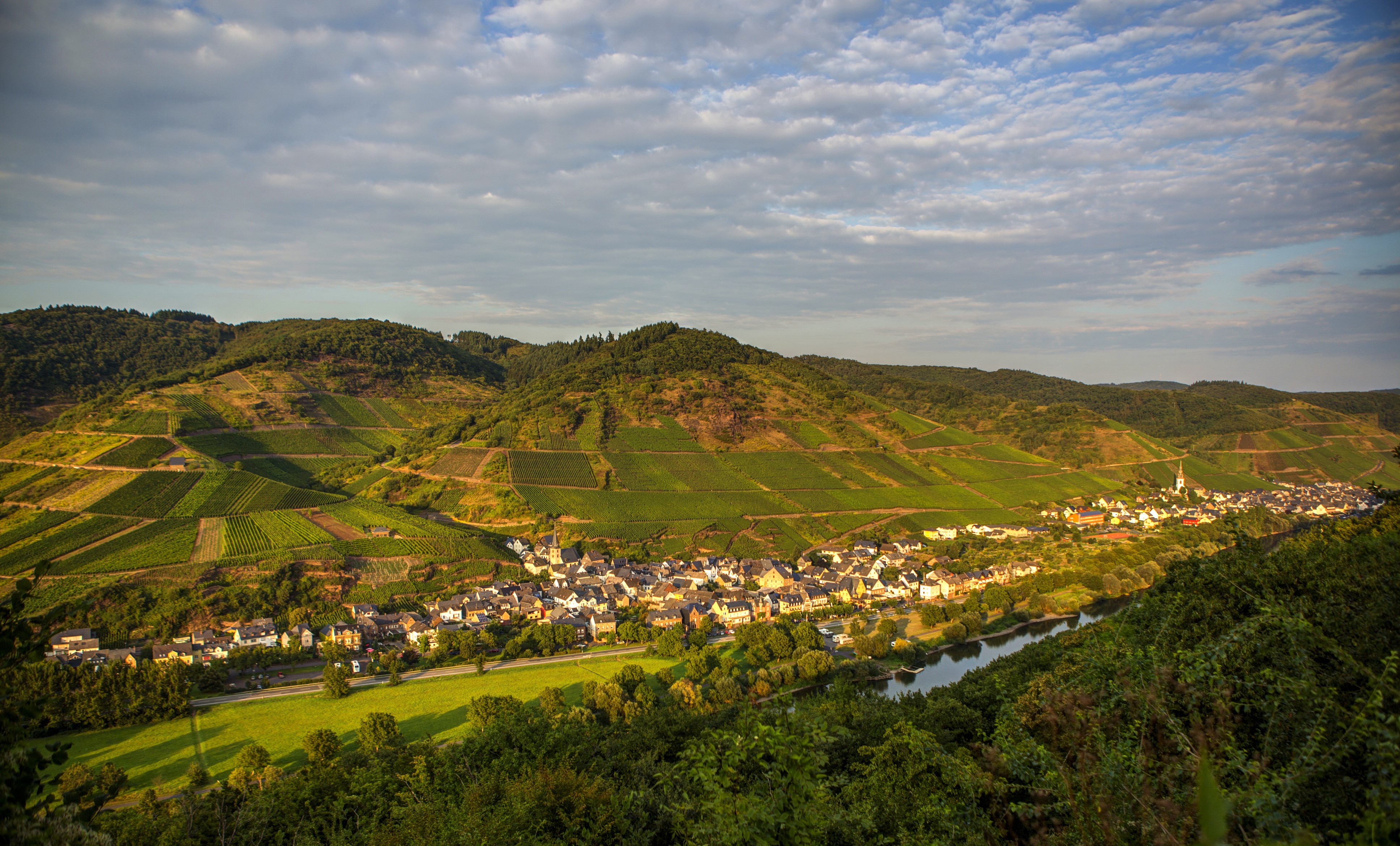 4K Germany Small Town and Vineyards from Above HD Wallpaper