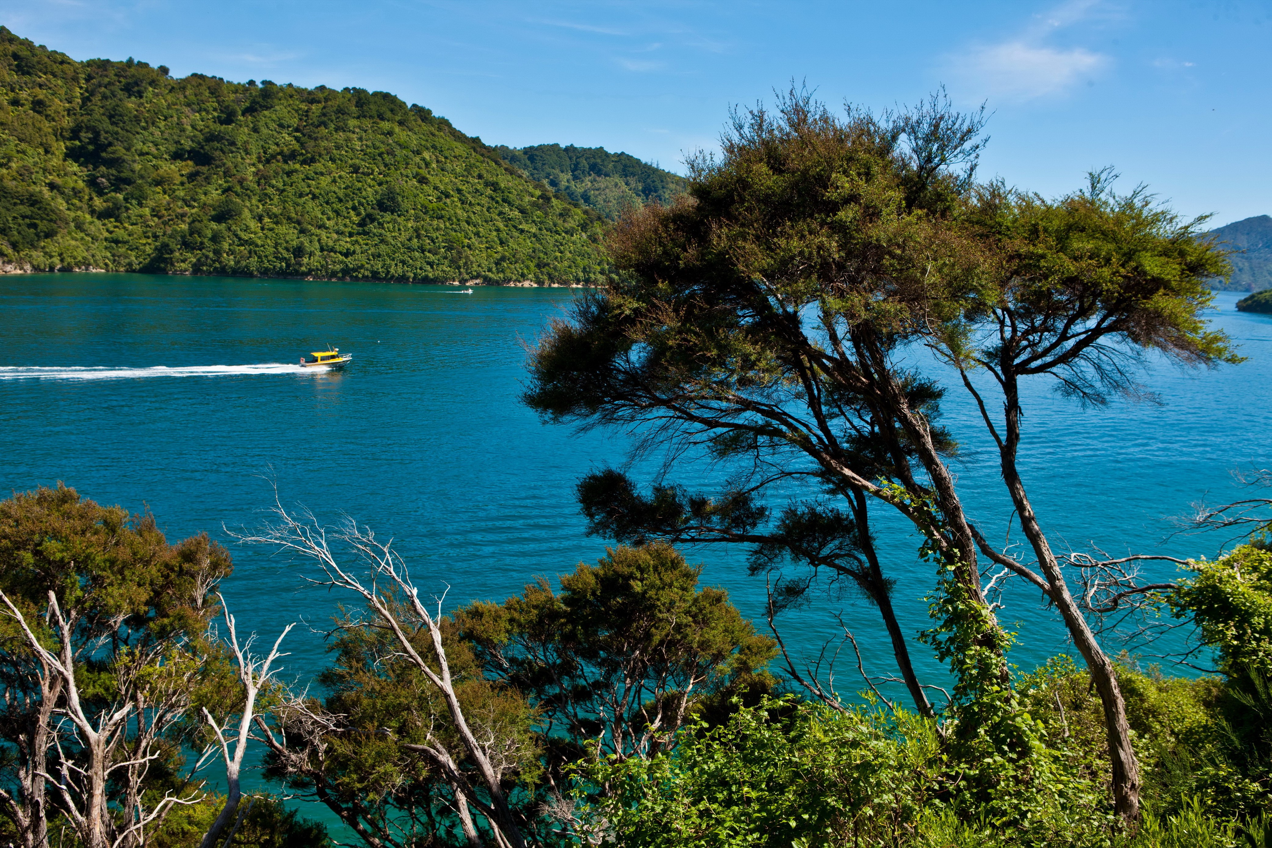Boat on a blue bay with green hills in New Zealand HD Wallpaper
