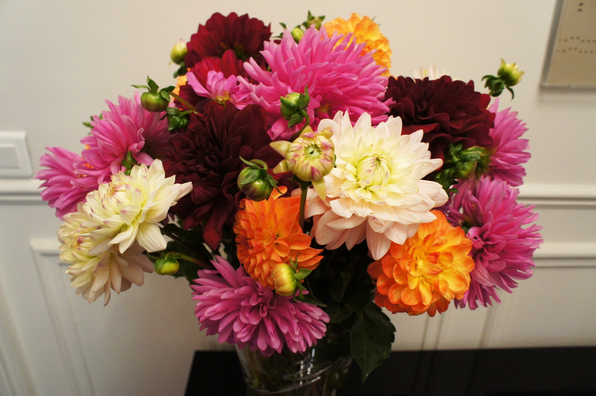 A colorful bouquet of dahlias in a vase HD Wallpaper