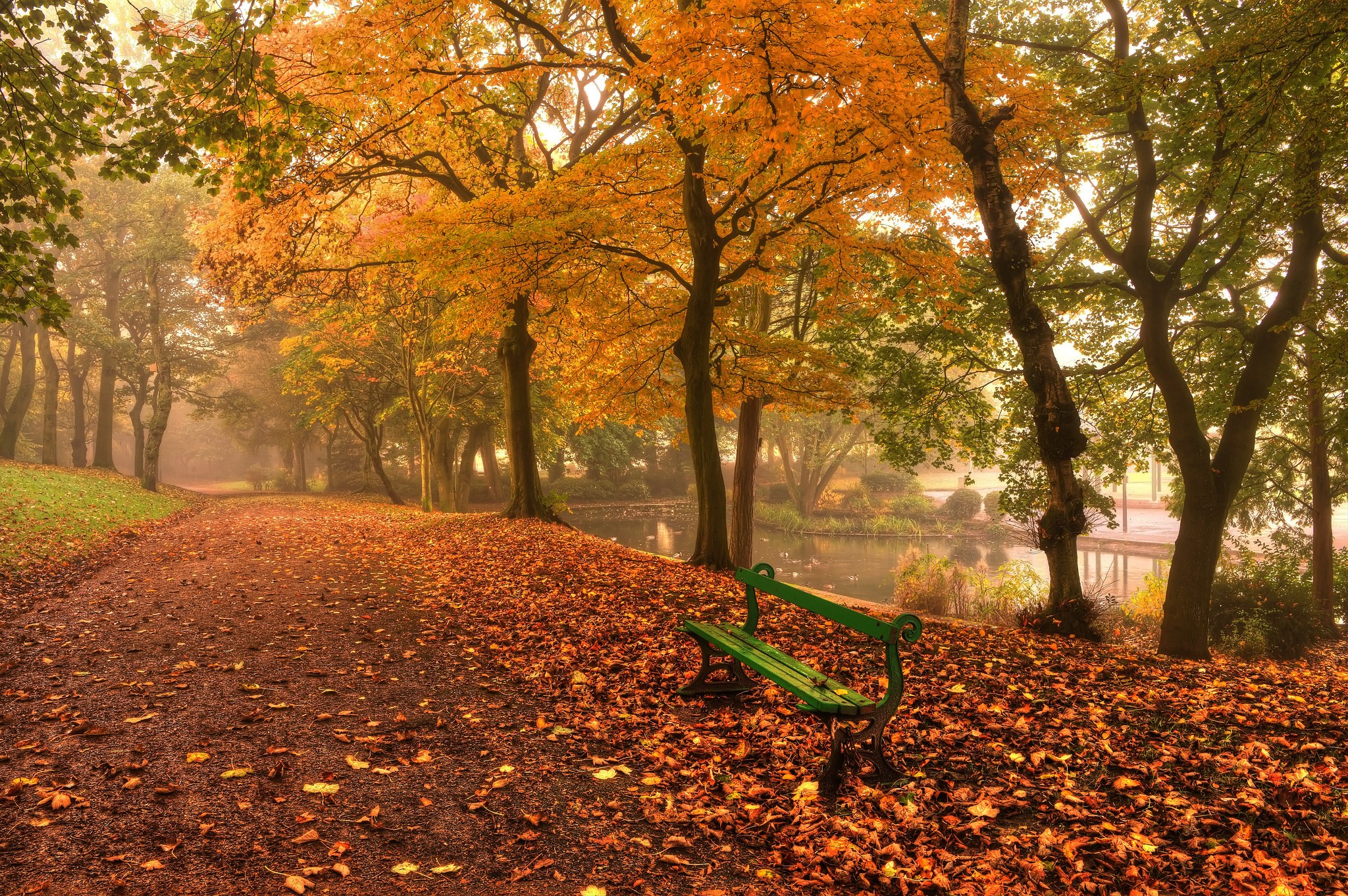 Park bench covered in autumn foliage next to a pond HD Wallpaper