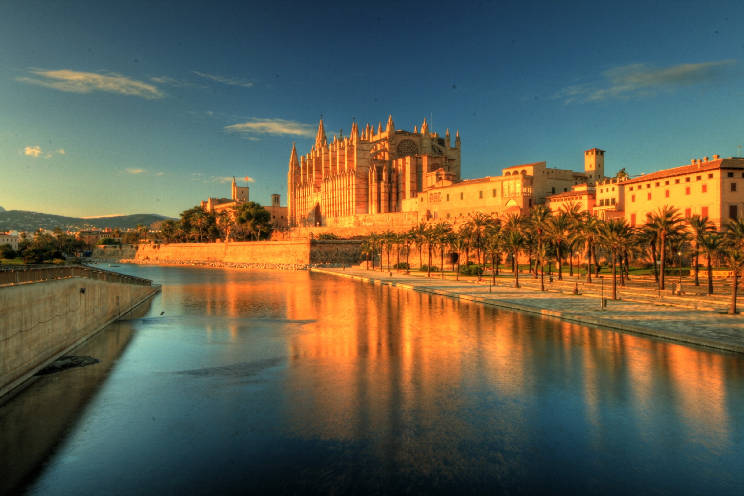 Palma de Mallorca Cathedral and waterfront with palm trees HD Wallpaper