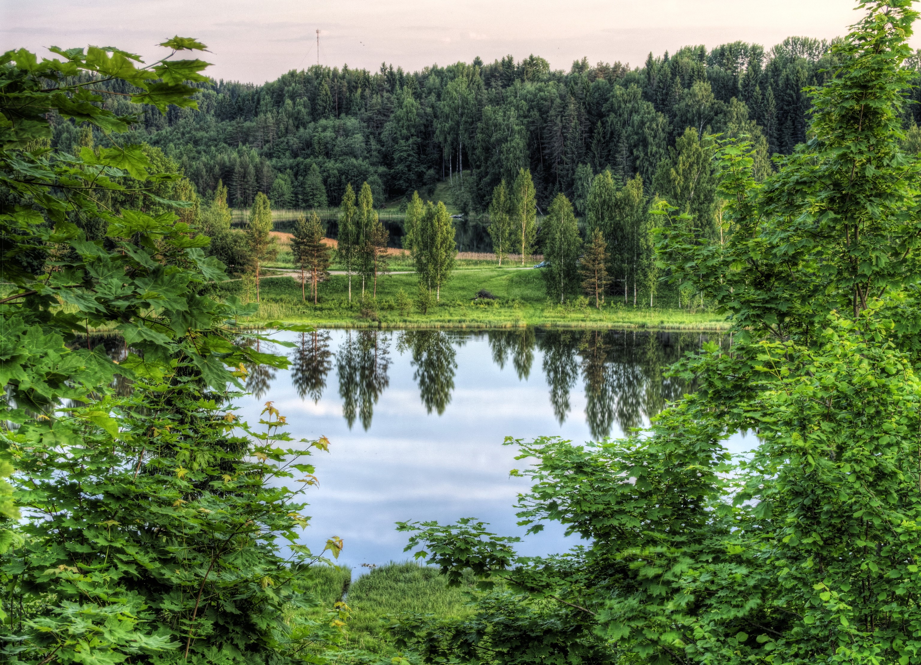 Lake and forest in Estonia HD Wallpaper