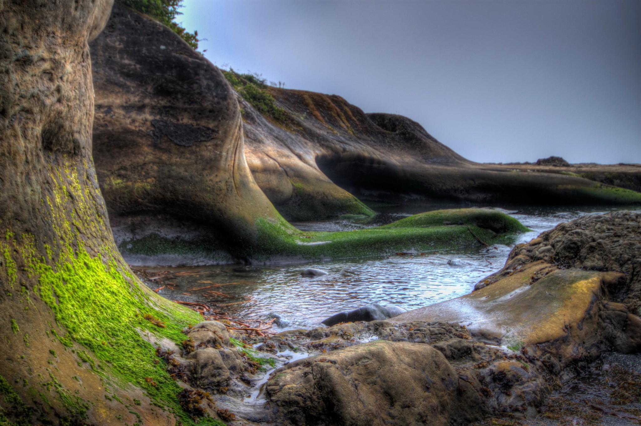 Mossy rocks and water on the coast of Vancouver Island, Canada HD Wallpaper