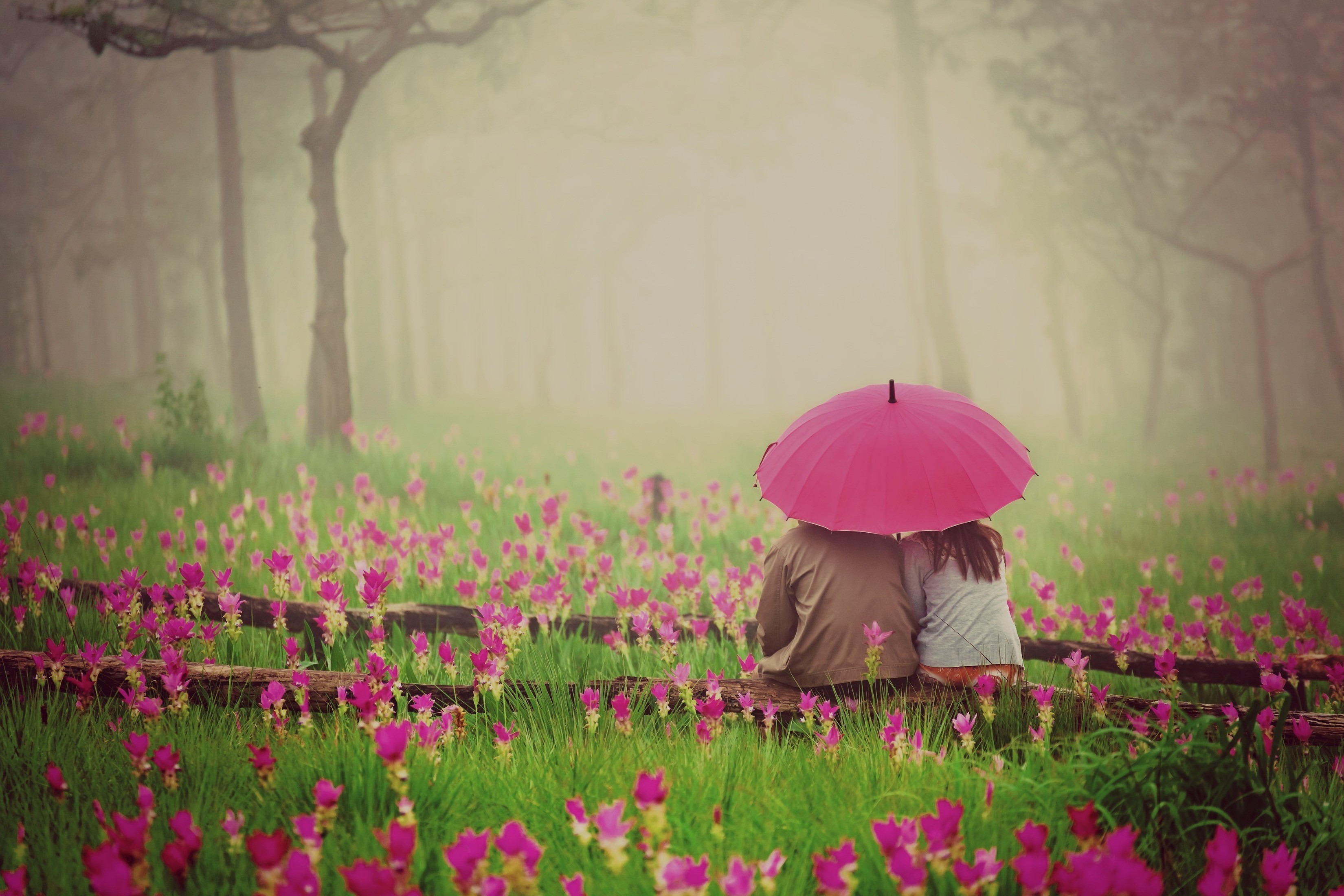 Couple under umbrella in flower field HD Wallpaper