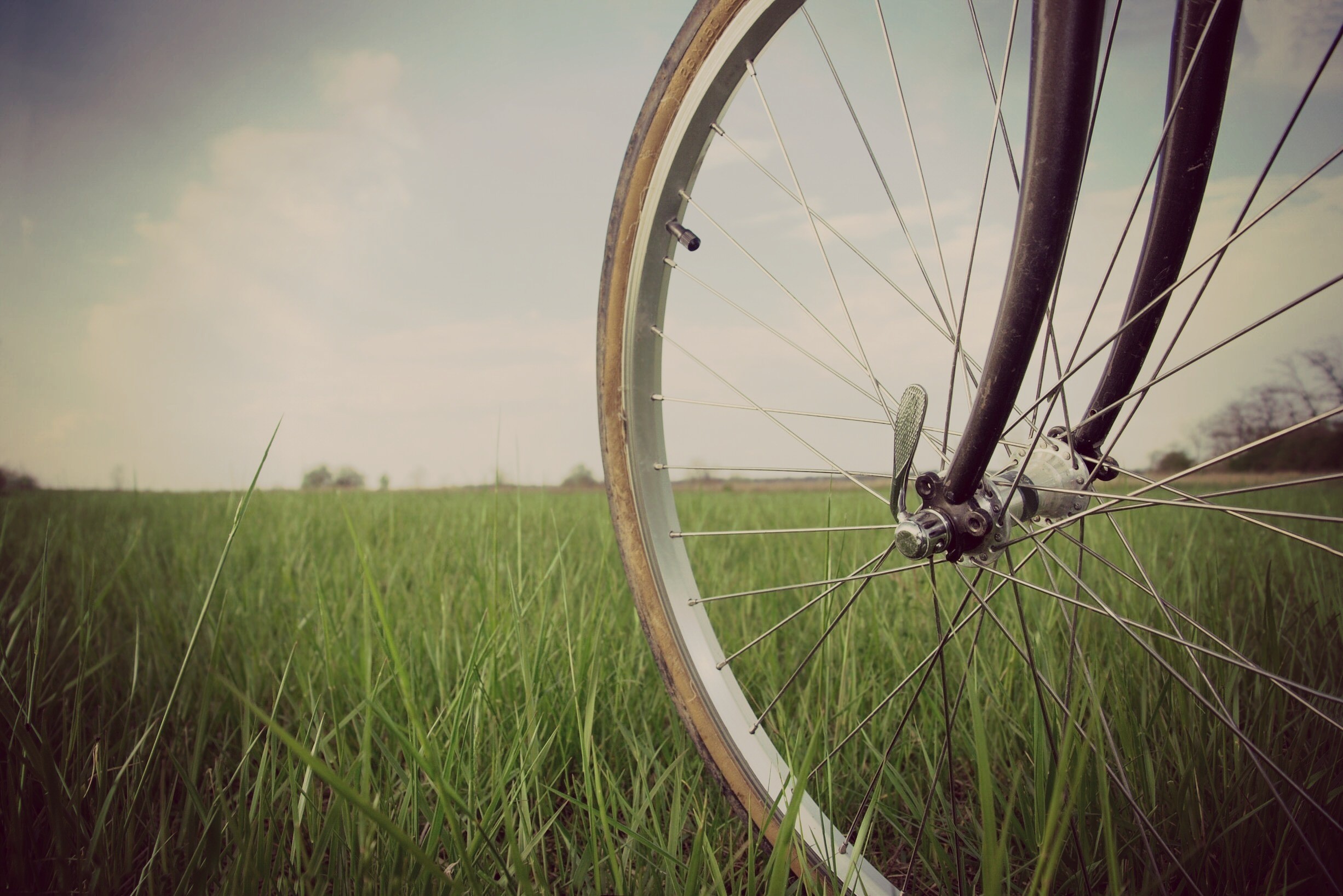 Close-up of a bicycle wheel in a grassy field HD Wallpaper