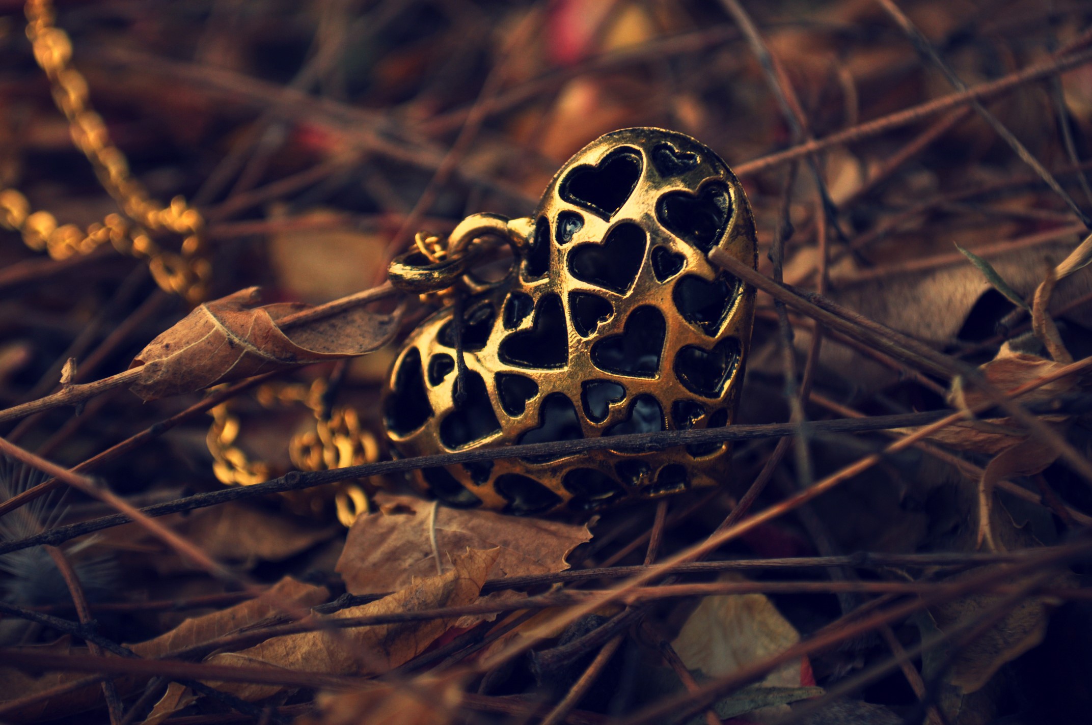 Golden heart locket necklace on forest floor HD Wallpaper