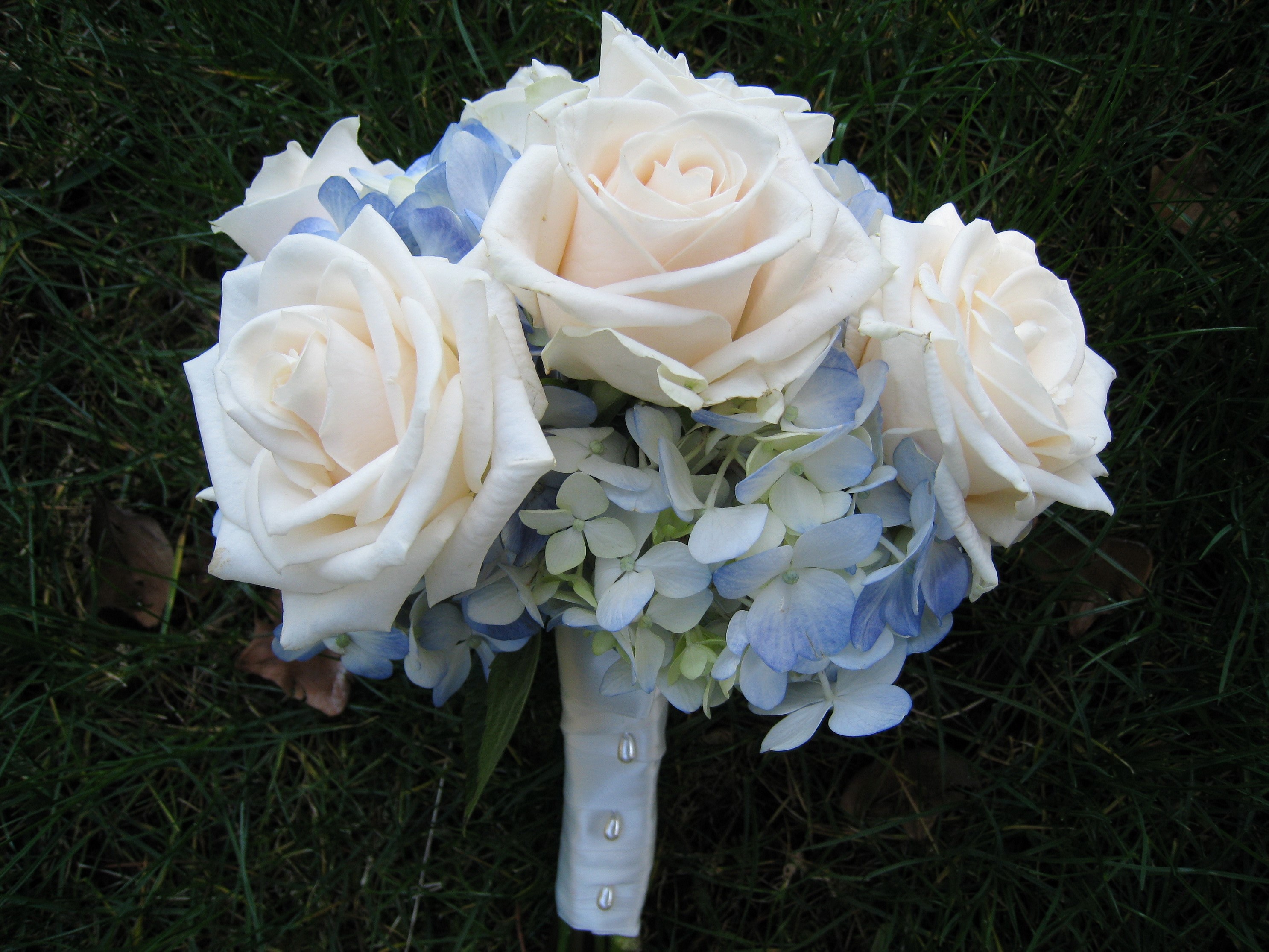 White roses and blue hydrangeas bouquet HD Wallpaper