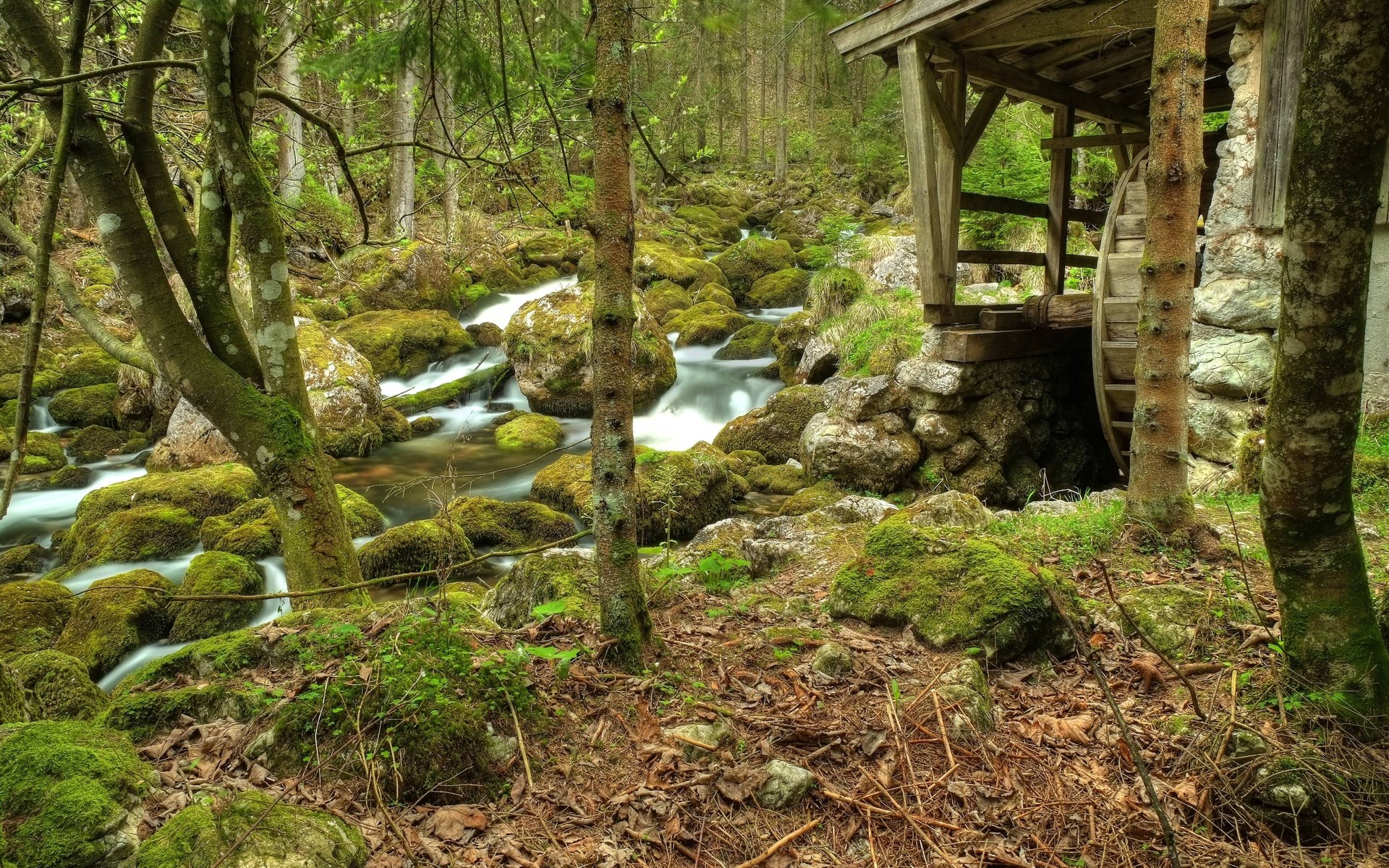 Old watermill by a stream in a forest HD Wallpaper