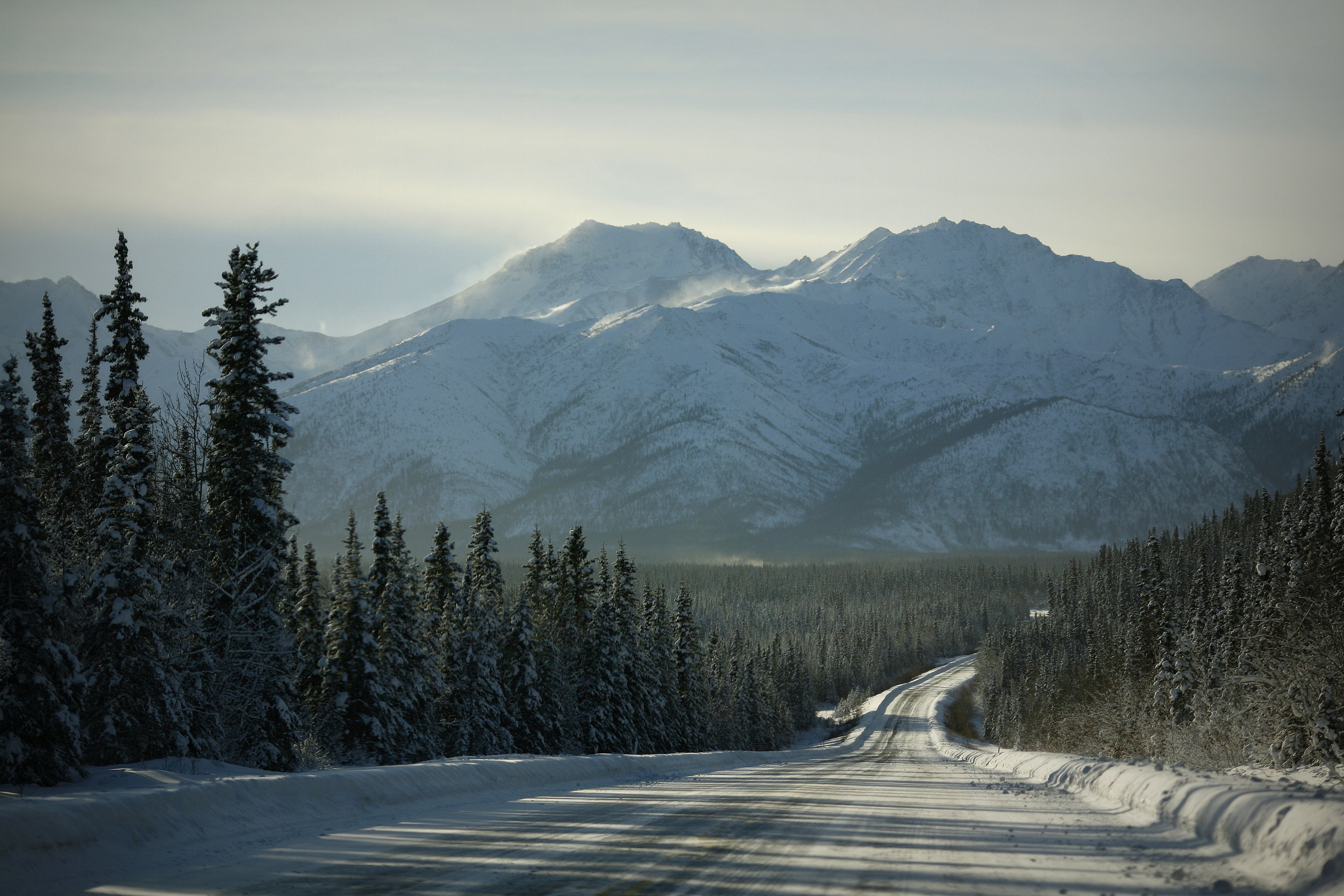 Snowy Mountain Road Through Forest HD Wallpaper