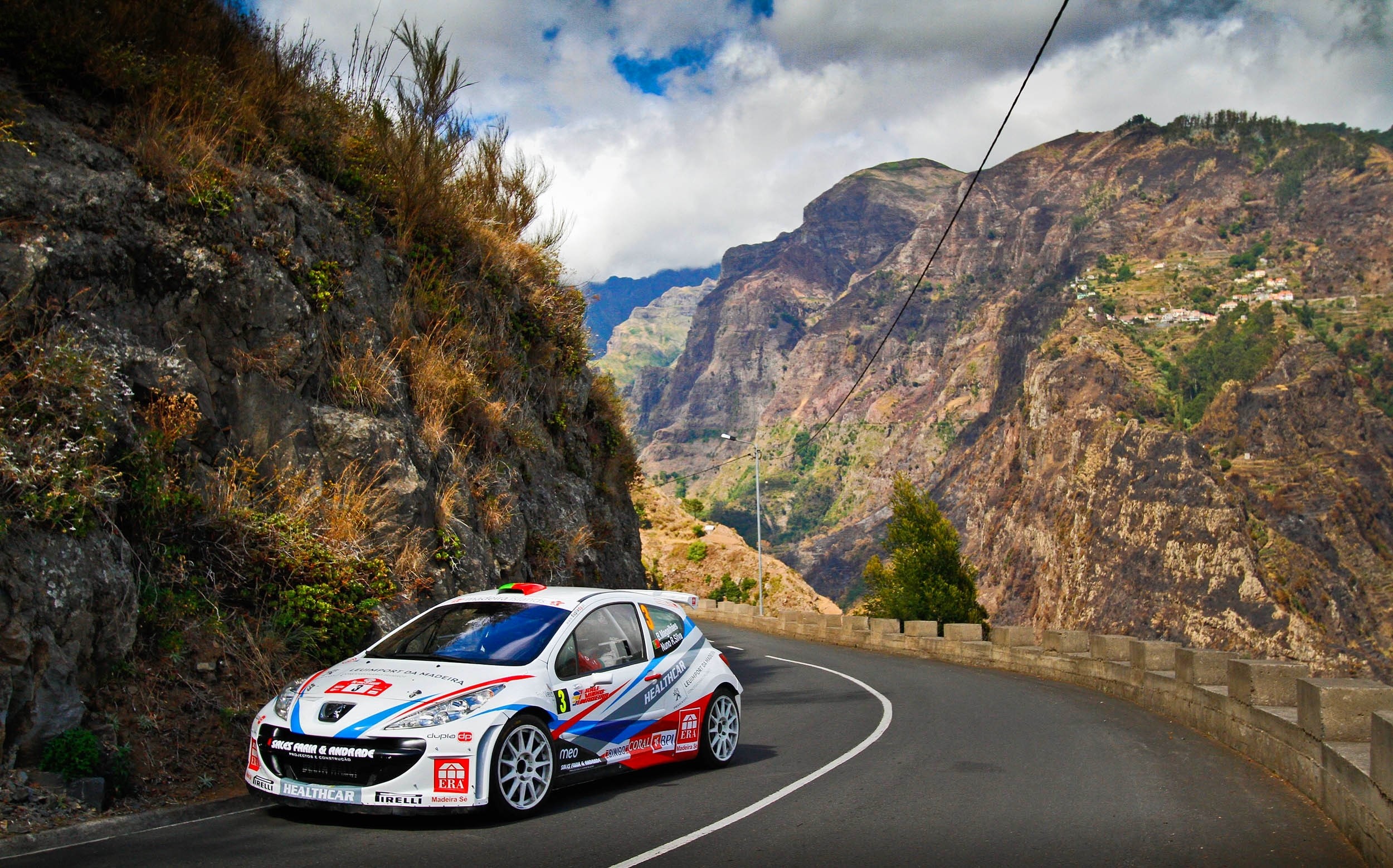 Peugeot 207 rally car on a mountain road HD Wallpaper